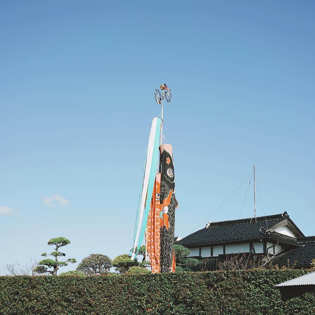 Takafumi Gotoのインスタグラム：「今年も無事に竿立て完了🎏」