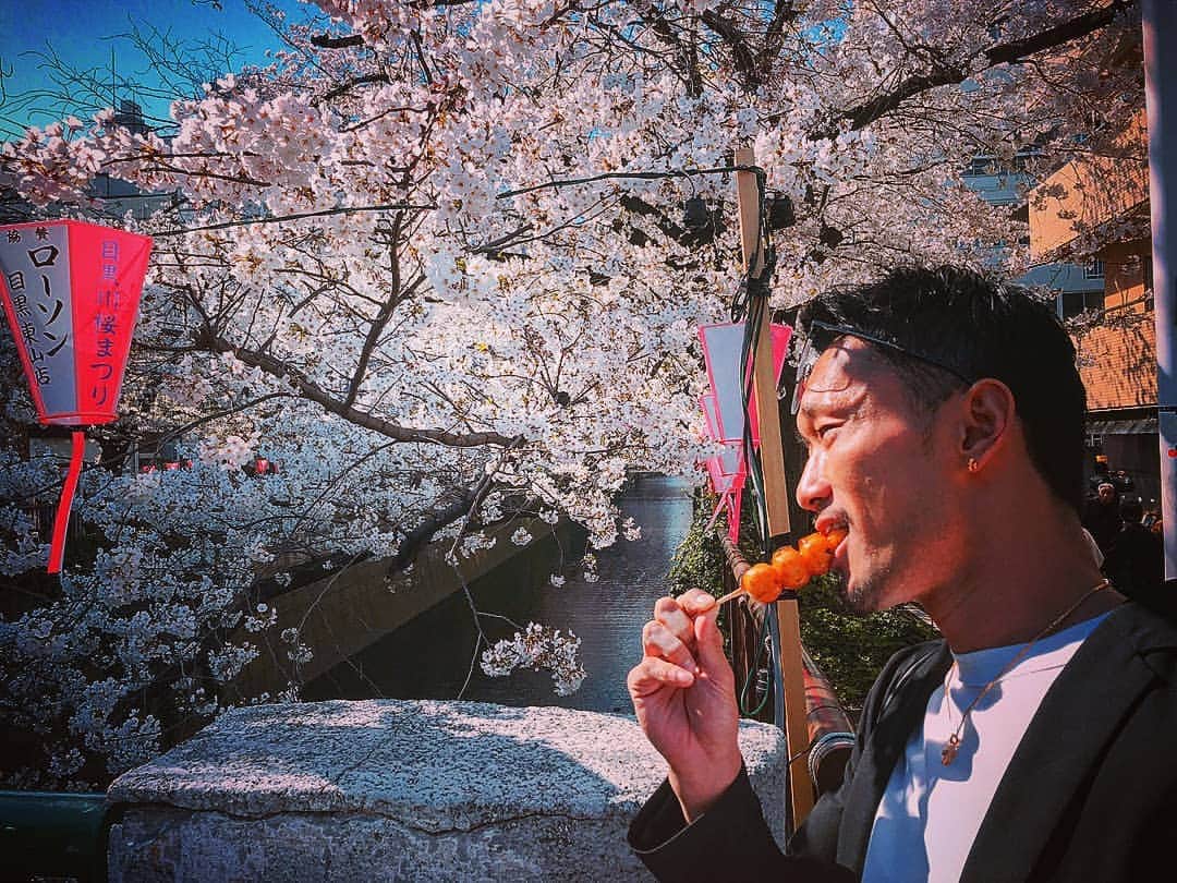 梅野源治のインスタグラム：「桜の季節も終わりかな🌸  #彼氏と花見デート #しながらおだんごを食べてたら #怖い人におだんごを奪われたなうに使っていいよ」