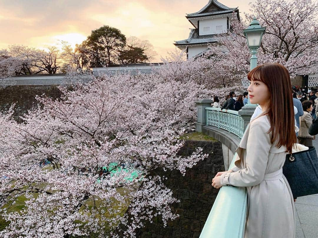 麻亜里さんのインスタグラム写真 - (麻亜里Instagram)「金沢城の桜とっても綺麗だった… 来年はお花見ヨガもいいな🤩🌸 色々計画します✨ こんなことやって欲しい！などのリクエストもあれば教えて下さい🙇‍♀️ . #金沢 #金沢旅行 #国内旅行 #春旅行 #金沢城 #お花見」4月13日 11時28分 - maari.0108