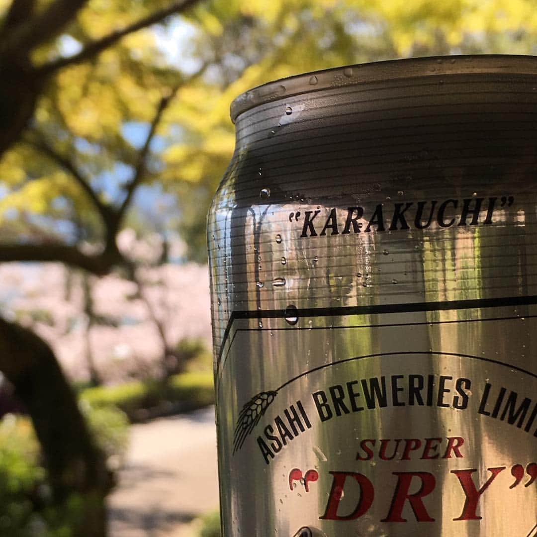 高羽そらのインスタグラム：「遅ればせながら、今年の初お花見🌸 毎年必ず来ている須磨浦公園て乾杯🍻 少し寒いけれど、天気は最高！ #須磨浦公園 #お花見」