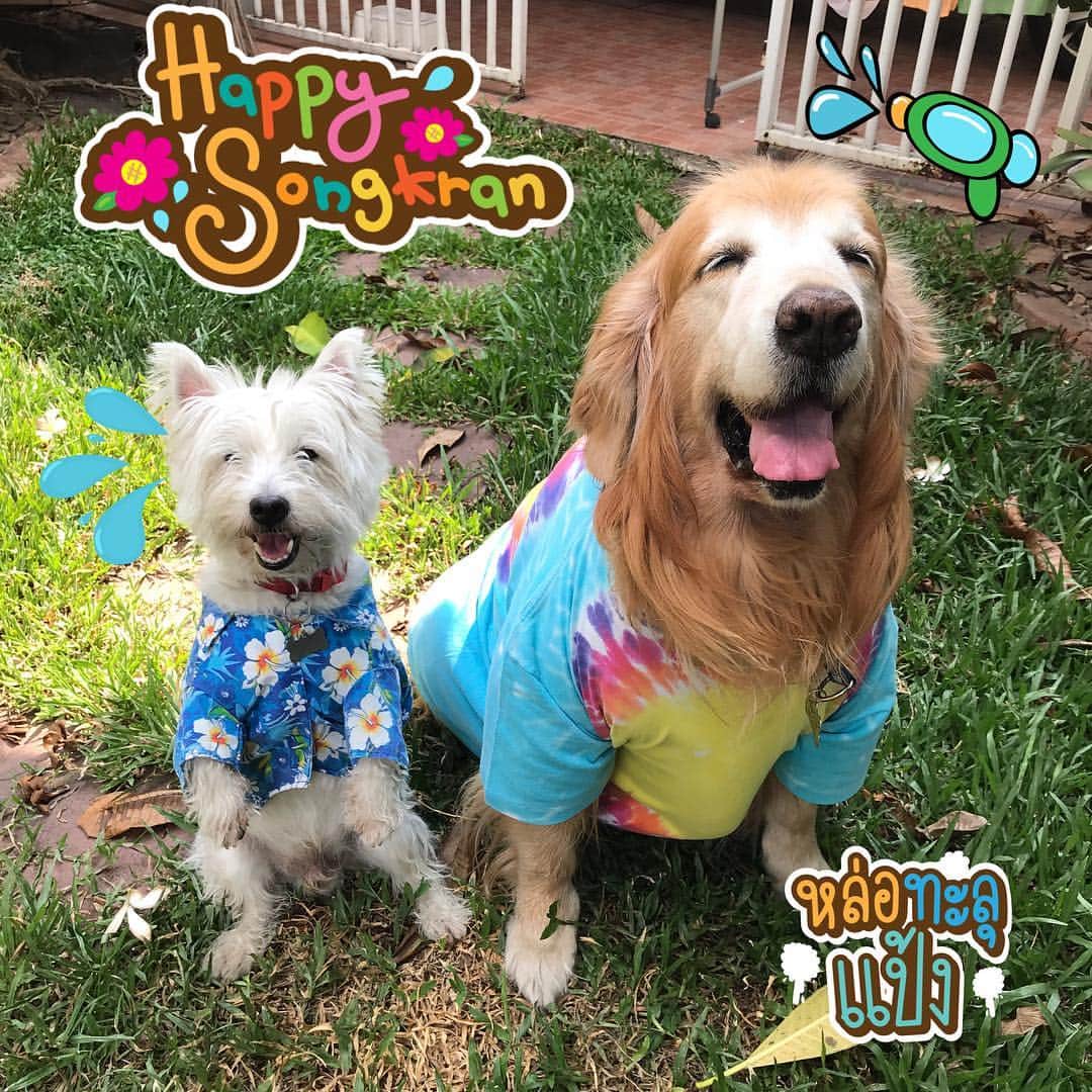 Hoykong&Plamuekのインスタグラム：「Happy Songkran 💦💦💦 สุขสันต์วันสงกรานต์นะครับทุกคน  มีความสุขมากๆ เล่นน้ำกันให้สนุกนะค้าบ #hkpm」