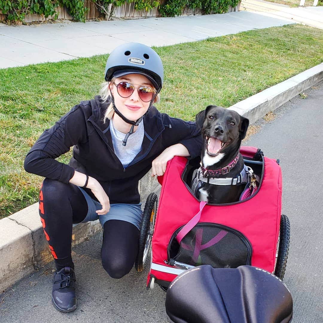 エマ・デュモンのインスタグラム：「We ride in style ❤🐶❤🐕❤」
