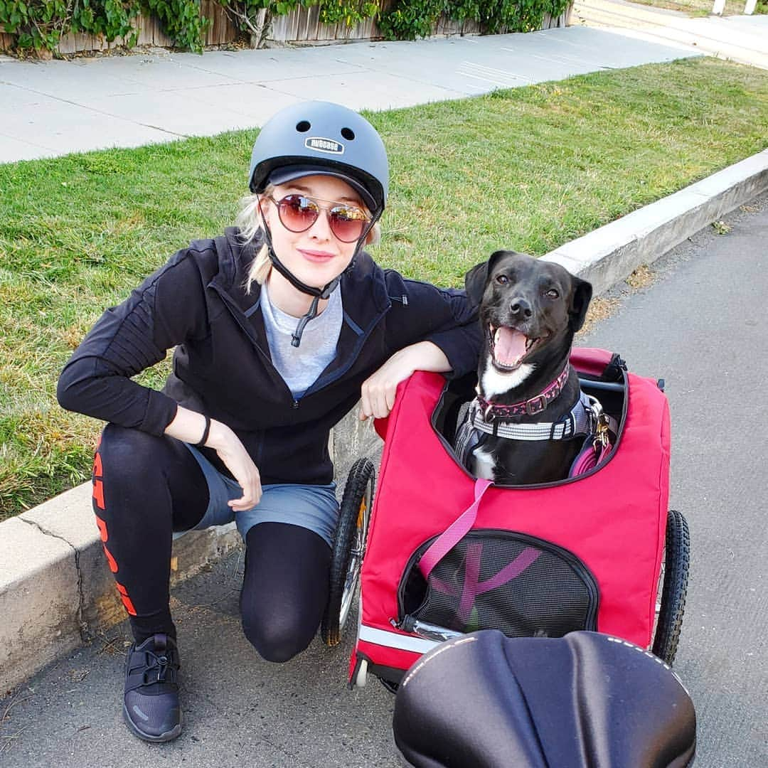 エマ・デュモンさんのインスタグラム写真 - (エマ・デュモンInstagram)「We ride in style ❤🐶❤🐕❤」4月13日 12時17分 - emmadumont