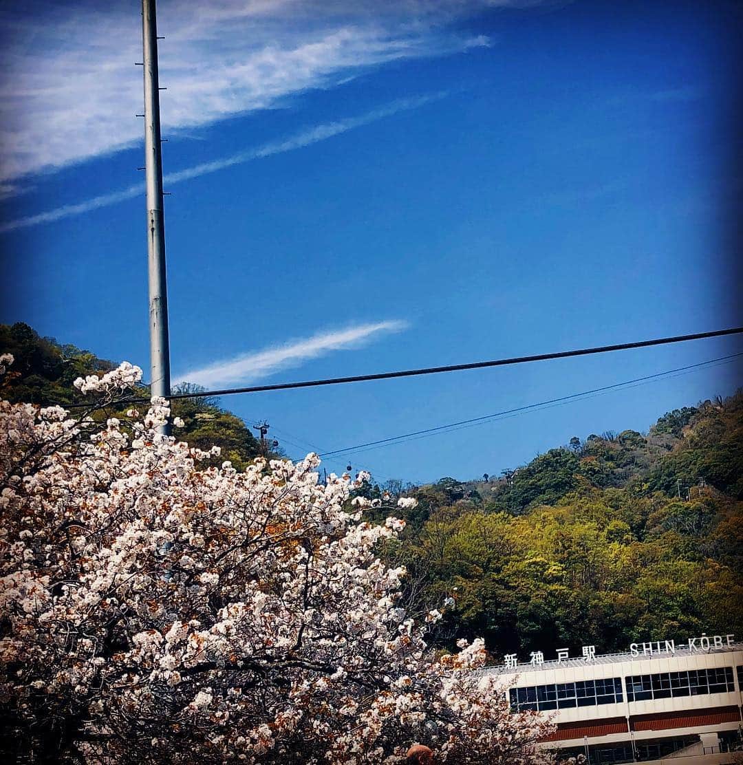 JILLさんのインスタグラム写真 - (JILLInstagram)「神戸❣️ 着いた‼️ 本田くんのソロアルバム貰った❣️ お店の方からのあたたかいメッセージ。富士山も桜も綺麗でした。  #personz  #jillpersonz #20190413 #新元号は令和 #wanderfulmemoriestour #アーカイブDVD  #ツアースタンプリリースjillpersonzで検索  #Jfnpark #ジャパニーズポップスラプソディ #ワンダフルメモリーズツアー #ラジオ高崎 #エアープレイス #ジルプレ #来月ジルプレは令和初のエアプレイスなり #今日は神戸明日は高知ライブ #トレセン  @jillpersonz #varit  #personz  #jillpersonz #20190413 #新元号は令和 #wanderfulmemoriestour #アーカイブDVD  #ツアースタンプリリースjillpersonzで検索  #Jfnpark #ジャパニーズポップスラプソディ #ワンダフルメモリーズツアー #ラジオ高崎 #エアープレイス #ジルプレ #来月ジルプレは令和初のエアプレイスなり #今日は神戸明日は高知ライブ #トレセン  @jillpersonz #varit」4月13日 13時05分 - jillpersonz