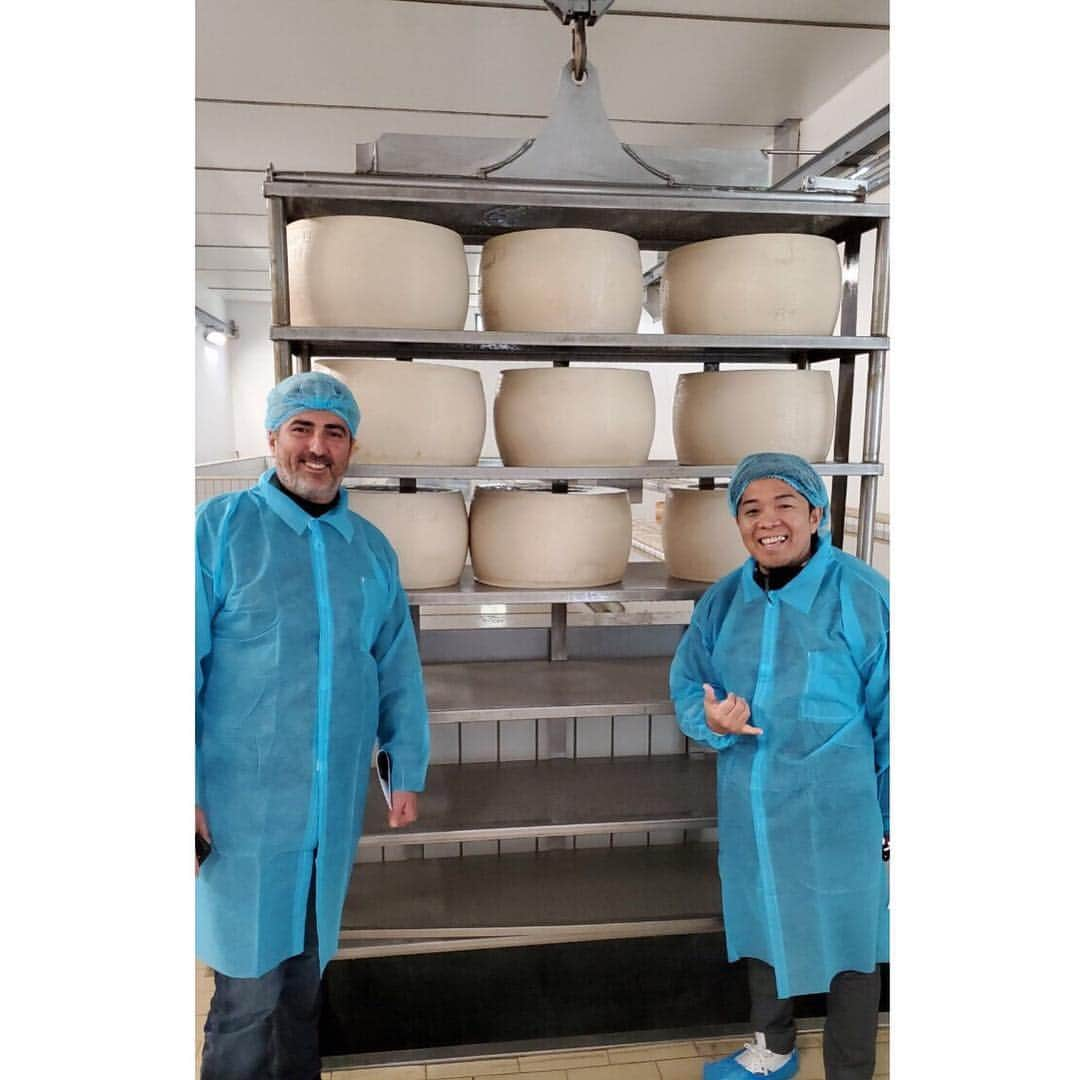 Arancino at The Kahalaさんのインスタグラム写真 - (Arancino at The KahalaInstagram)「We had the opportunity of a lifetime to tour THE Parmigiano Reggiano factory in Parma, where our risotto cheese wheel is from!  Bellíssimo!  Special thanks to @flavorsofitalyhi!  #arancino #arancinokahala #ristorante #italian #italy #hawaii #risotto #parma #イタリア #hawaiisbestkitchens #honolulu #honolulumagazine #cheese #foodie #foodies #parmigiano #アランチーノアットザカハラ #アランチーノ #イタリアン #ハワイ #おいしい #111hawaiiaward #italia #haleainaawards #pasta #ハワイ旅行 #ハワイ大好き #parmigianoreggiano #italia」4月13日 13時28分 - arancinokahala