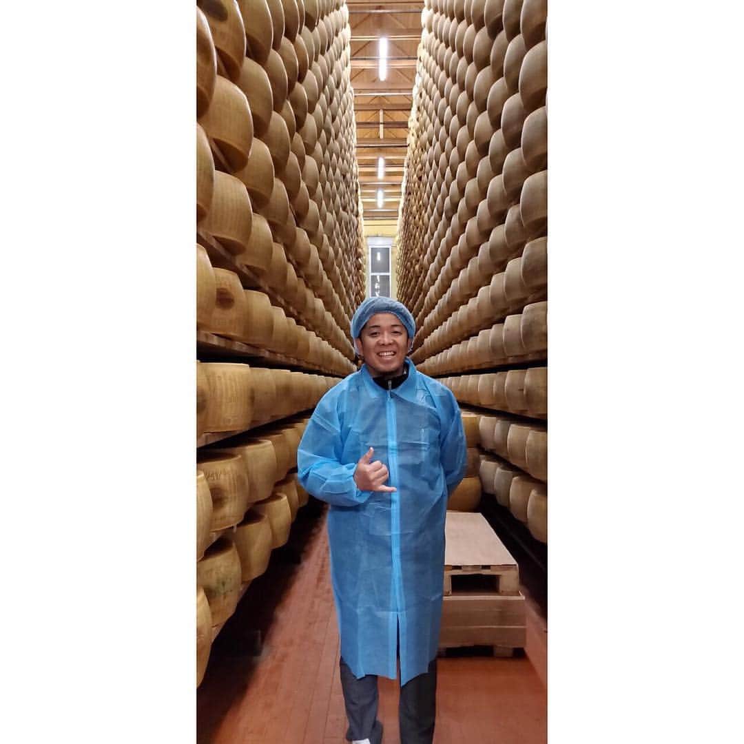 Arancino at The Kahalaさんのインスタグラム写真 - (Arancino at The KahalaInstagram)「We had the opportunity of a lifetime to tour THE Parmigiano Reggiano factory in Parma, where our risotto cheese wheel is from!  Bellíssimo!  Special thanks to @flavorsofitalyhi!  #arancino #arancinokahala #ristorante #italian #italy #hawaii #risotto #parma #イタリア #hawaiisbestkitchens #honolulu #honolulumagazine #cheese #foodie #foodies #parmigiano #アランチーノアットザカハラ #アランチーノ #イタリアン #ハワイ #おいしい #111hawaiiaward #italia #haleainaawards #pasta #ハワイ旅行 #ハワイ大好き #parmigianoreggiano #italia」4月13日 13時28分 - arancinokahala