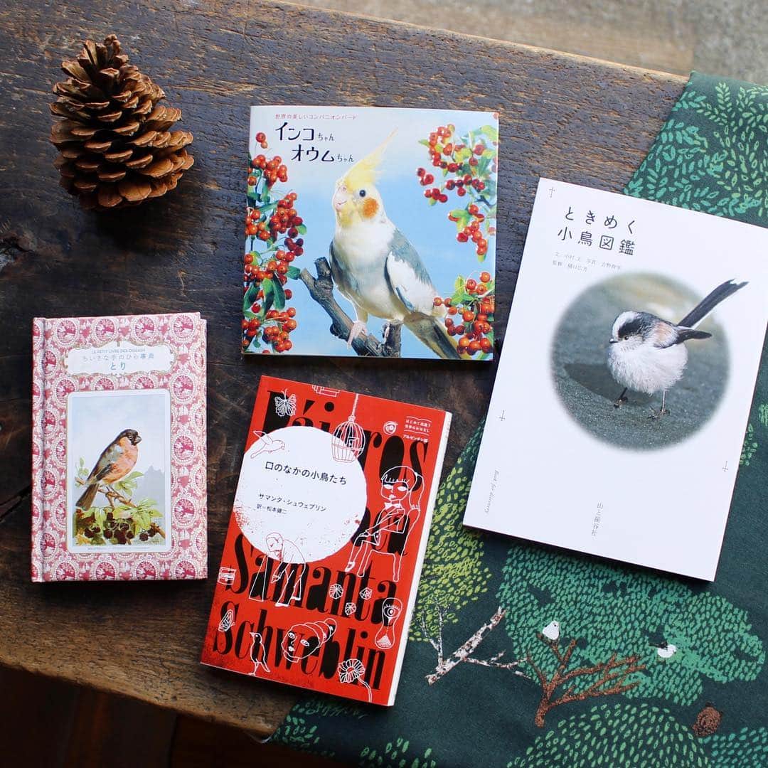 手紙社のグルメインスタ