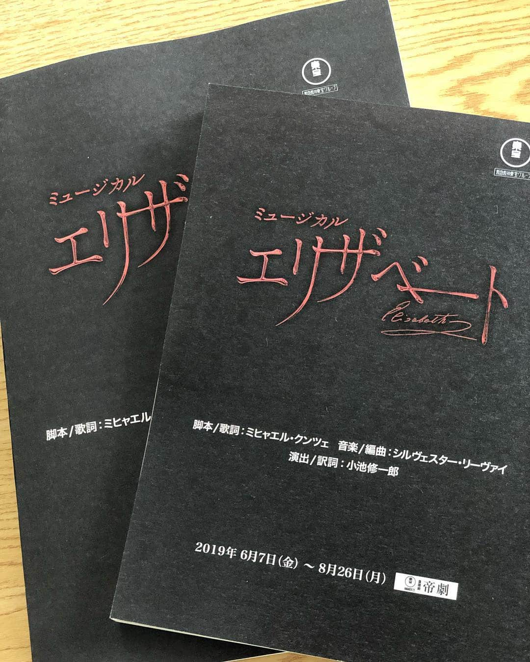 花總まりさんのインスタグラム写真 - (花總まりInstagram)「2019年度版の台本とヴォーカルブックが届きました！ #エリザベート #帝国劇場」4月13日 13時56分 - hanafusamari_official