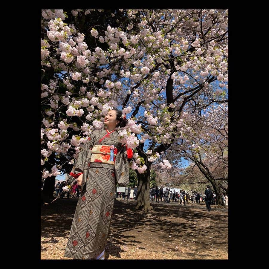 西田あいさんのインスタグラム写真 - (西田あいInstagram)「『桜を見る会』に初参加させていただきました🌸 安倍首相・昭恵夫人をはじめ、たくさんの先輩方との楽しいひととき🌸 大島紬もかっこよかったな🌸 あいがともさげもしたぁ🌸 ・ #桜を見る会 #とっても綺麗でした #大島紬 #鹿児島 #薩摩大使  #私の後頭部 #充実の土曜日 #あいがともさげもしたぁ #kimono #japanese_culture」4月13日 13時58分 - nishidaai