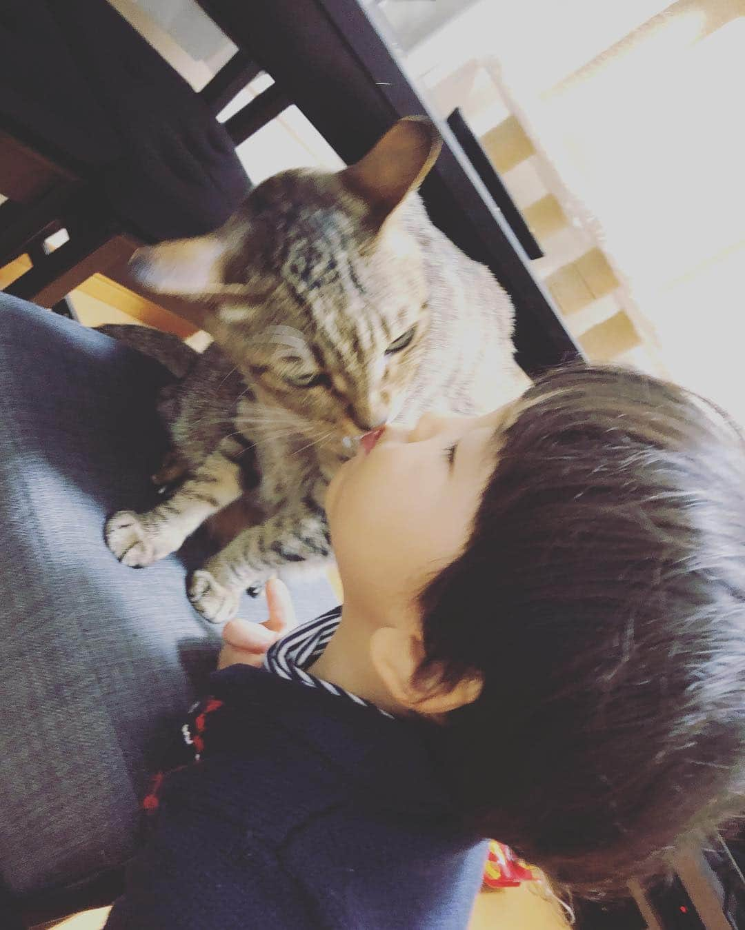 結花子さんのインスタグラム写真 - (結花子Instagram)「おチビ。 なんとな〜くアレルギー検査してみたら、、 2歳児にしてまさかのスギ花粉と猫アレルギー😭 スギ花粉に関しては強陽性😭 猫アレルギーは気合いと愛のパワーで治そう！！ . #しなきゃよかった #アレルギー検査 #知りたくなかった #猫アレルギー #気合いで治すよ #ママも #猫アレルギー #愛のパワーで #治ったよ」4月13日 14時39分 - yukako_chupapi