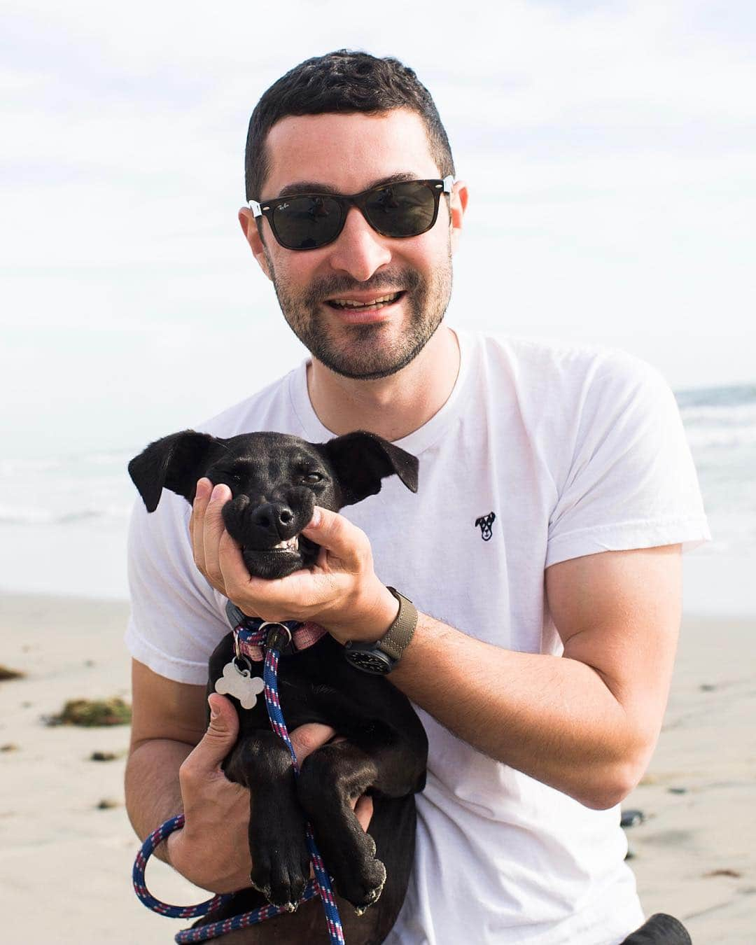 The Dogistさんのインスタグラム写真 - (The DogistInstagram)「The Dogist doesn’t always hang out with dogs and wear Dogist gear...wait, yes he does. Make sure to get a Dogist tee for summer before they’re all sold out (link in bio). Oh, and Karen, pictured here, is available for adoption from @hwac. Hurry, there’s only one Karen!」4月14日 0時25分 - thedogist