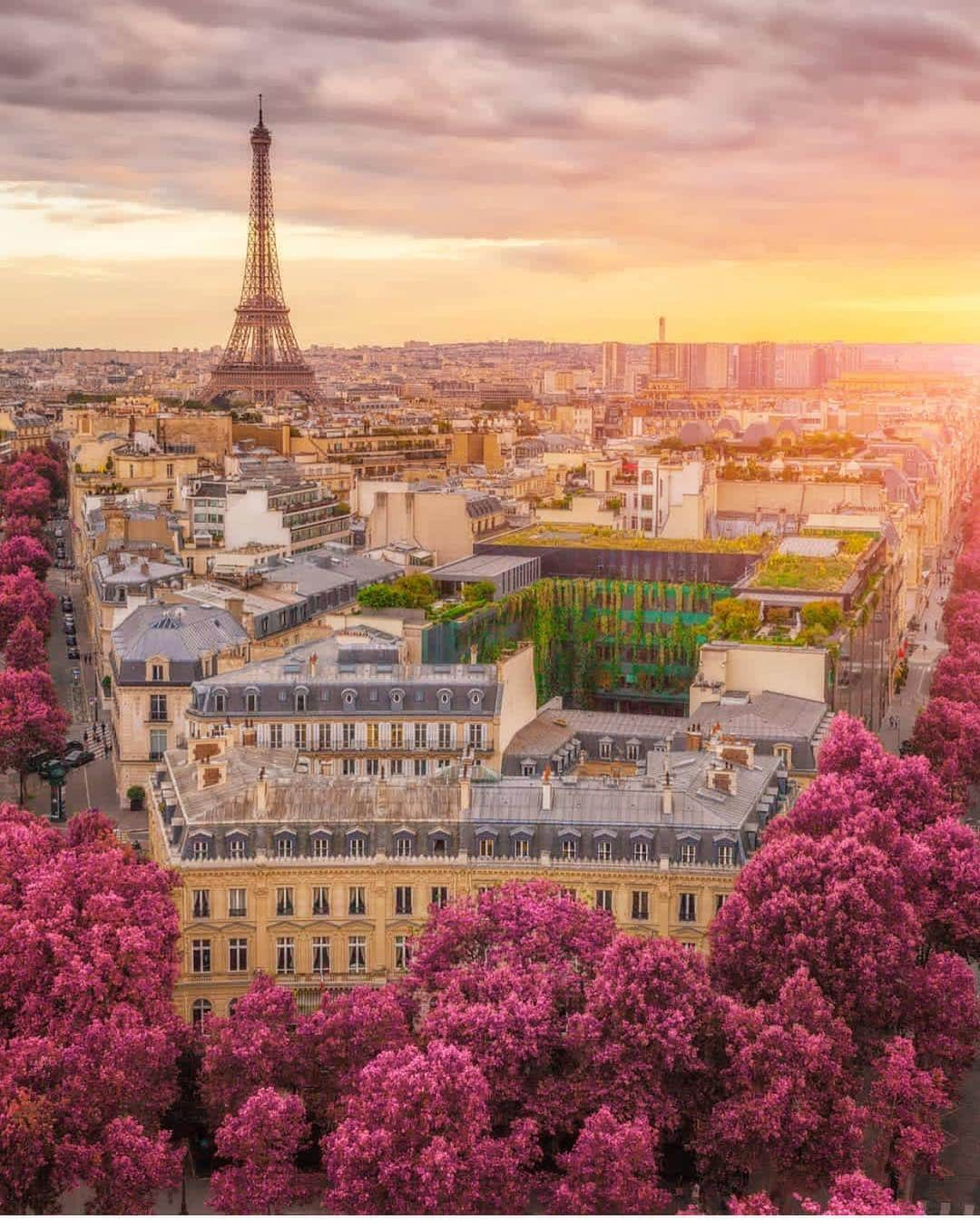 Wonderful Placesさんのインスタグラム写真 - (Wonderful PlacesInstagram)「Paris in bloom ✨🌺🌺🌺✨ . Picture by ✨✨@krenn_imre✨✨ #wonderful_places for a feature 💖」4月14日 0時22分 - wonderful_places