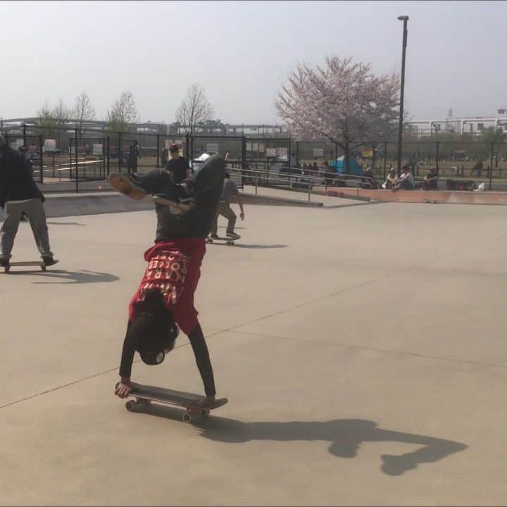 のインスタグラム：「Clips from this week.  It was a quite beautiful week with cherry blossoms in Japan. 🌸 #powellperalta  #fscom  #nrsf #goodskates #vantan #vantandesignhighschool #freestyleskateboarding  #isamuyamamoto  #skateboard #skateboarding #スケボー #スケートボード #skatecrunch  #skatecrunchmag  #skatemaps #thankyouskateboarding #skateeverydamday #shralpin  #hellaclips  #skatesubmit  #metrogrammed #berrics @vantandesigninstitute @vantan_sk8design」