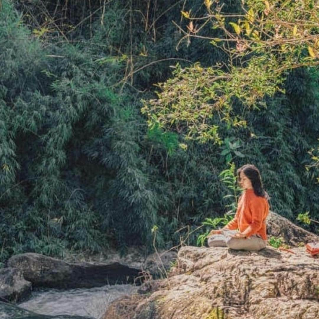 YAMAMOTOYAMA Foundedさんのインスタグラム写真 - (YAMAMOTOYAMA FoundedInstagram)「Starting our Saturday with sunshine and serenity. How are you spending your Saturday? 📸: @alliegeeryoga」4月14日 0時48分 - yamamotoyama_usa