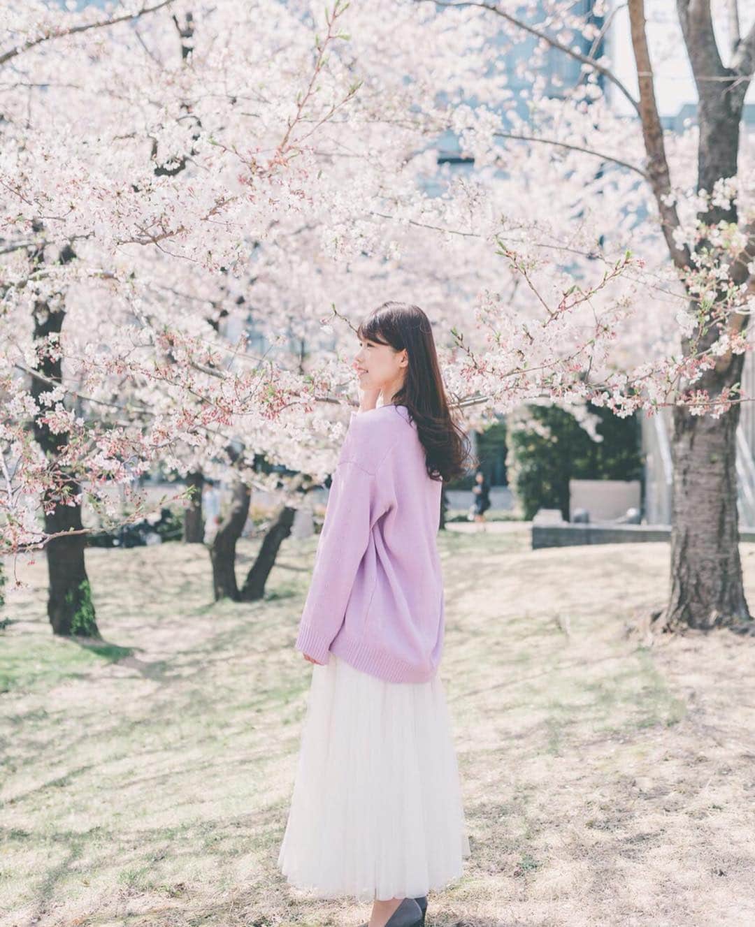丸山裕理さんのインスタグラム写真 - (丸山裕理Instagram)「. 春風にふわり、 みたいな写真あこがれます . A fluffily skirt which blew up in the wind :) . #sakura #cherryblossom  #cherryblossomseason #hanami  #team_jp_flower #japan_of_insta  #discovertokyo #jp_mood #jp_portrait部  #tokyocameraclub #impression_shots #art_of_japan_ #flower_special_  #桜 #桜並木 #お花見 #広がり同盟 #お花見2019 #ミッドタウン」4月14日 0時55分 - yuri_maruyama1213