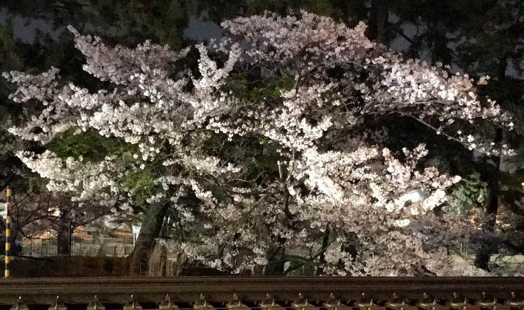 のインスタグラム：「いま会いに行きます  君を想像していた　君を描いていた 僕の夢の中で君を 一人で大切にしていた 秘密めいた君を  僕の小さい星に　僕の小さい心に 君が入って来て　震える僕 君の前にいて本当に  僕の想像の中で描いていた 僕の夢の中だけに秘めていた 君とこうして出会えた こんなに僕の胸を震わせるんだ  冷たかった風さえ僕を暖かくさせるんだ こうして君と二人　僕の愛を君と二人で forever  どんなに時間が過ぎていっても 僕の愛はただ 君だけを見つめて 大きくなっていくだけの自分の姿たち  僕の小さい星に　僕の小さい心に 君が入って来て　震える僕 君の前にいて本当に  僕の想像の中で描いていた 僕の夢の中だけに秘めていた 君とこうして出会えた こんなに僕の胸を震わせるんだ  冷たかった風さえ僕を暖かくさせるんだ こうして君と二人　僕の愛を君と二人で  夢ででも君と会えるように 君よりも先に　僕の思いが君の前にいるんだ  僕の想像の中で描いていた 僕の夢の中だけに秘めていた 君とこうして出会えた こんなに僕の胸を震わせるんだ  冷たかった風さえ僕を暖かくさせるんだ こうして君と二人　僕の愛を君と二人で  こうして君と二人  #cherryblossom #cherryblossoms #flower #flowers #sky #nightsky #nightscape #nightview #cityscape #landscape #queeninhyunsman #imcomingtoseeyou #originalsoundtrack #桜 #さくら #サクラ #花 #空 #夜空 #夜景 #街角 #景 #イニョン王妃の男 #いま会いに行きます」