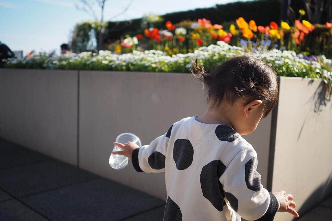 maatamagosanのインスタグラム：「プラカップに落ちてる花びら集めてた🌼」