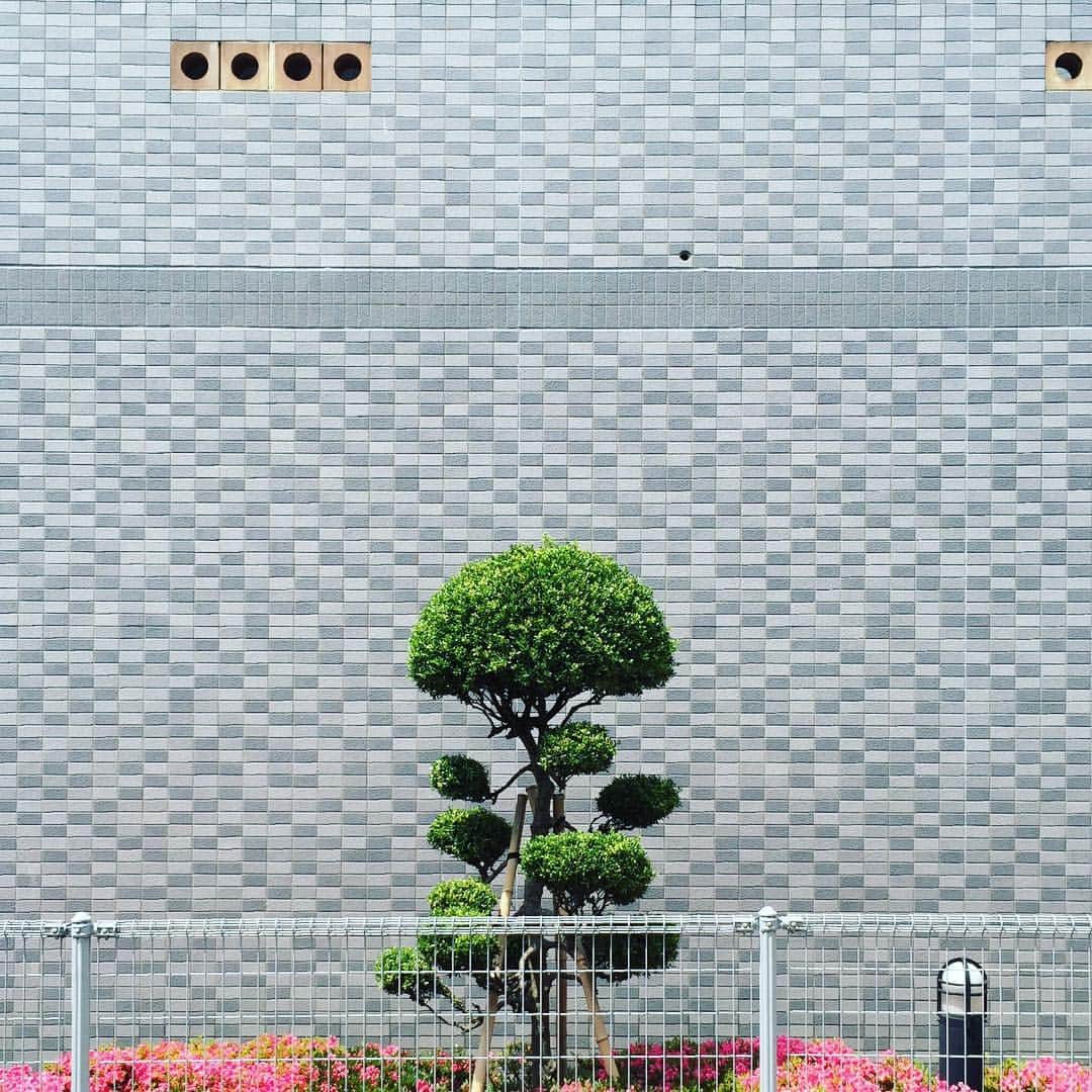 ザ壁のインスタグラム：「【公募あり】壁の写真展「WALL」の告知です🙏  #ザ壁部  壁の写真展「WALL」を、渋谷・神泉のR for Dで5/1(Wed.)〜開催！合わせて作品の公募もスタート！ ・ 写真展は、#ザ壁部 の協力のもと、壁写真をキュレーションして展示。あわせて行う公募のグランプリ作品には壁を表現するカバン作家 / カガリユウスケのアイテムをプレゼントしますので、どしどしご応募を！詳細はR for DのHPで！ ・ 身近にある壁。場所、土地ならでは風景や、グラフィックとしての側面など、壁の魅力は様々ですが、普段の街歩きに新たな視点を与える展示となっております。 ・ 写真展「WALL」 期間：5/1（水）- 5/12（日） 会場：R for D @rford.deedfashion 住所：東京都目黒区駒場1-4-5 B1F 営業時間：13:00 – 22:00 URL: https://rford.deedfashion.com ・ 参加者 @id4os6 @ishihako @ka_nai @maco_kirahvi @micasu @nukonuko @panzaki @qalatta @sloooth @tikori2 @tsuno2no @wonder_vision @zahrada ・ #壁 #かべ #wall #写真展 #photoexhibition #photo #街歩き #kagariyusuke #カガリユウスケ #カバン #風景 #景色 #都市 #日常 #工事 #建築 #建物 #graphicdesign #graphicart #design #グラフィック #デザイン」
