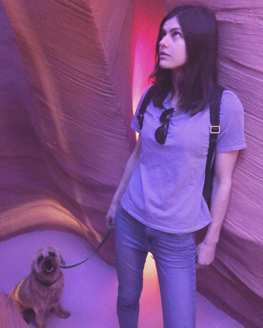 アレクサンドラ・ダダリオさんのインスタグラム写真 - (アレクサンドラ・ダダリオInstagram)「🐕 👩🏻‍💼 I love Coachella because there’s no traffic in la!!!!!」4月14日 1時21分 - alexandradaddario