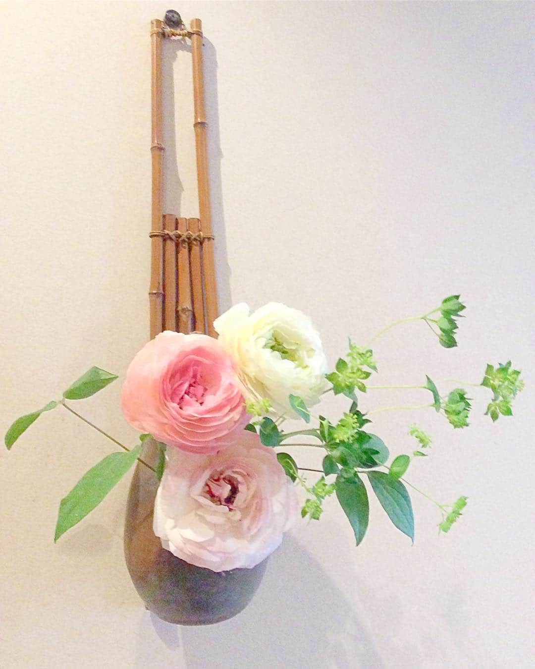 祥吉のグルメインスタ