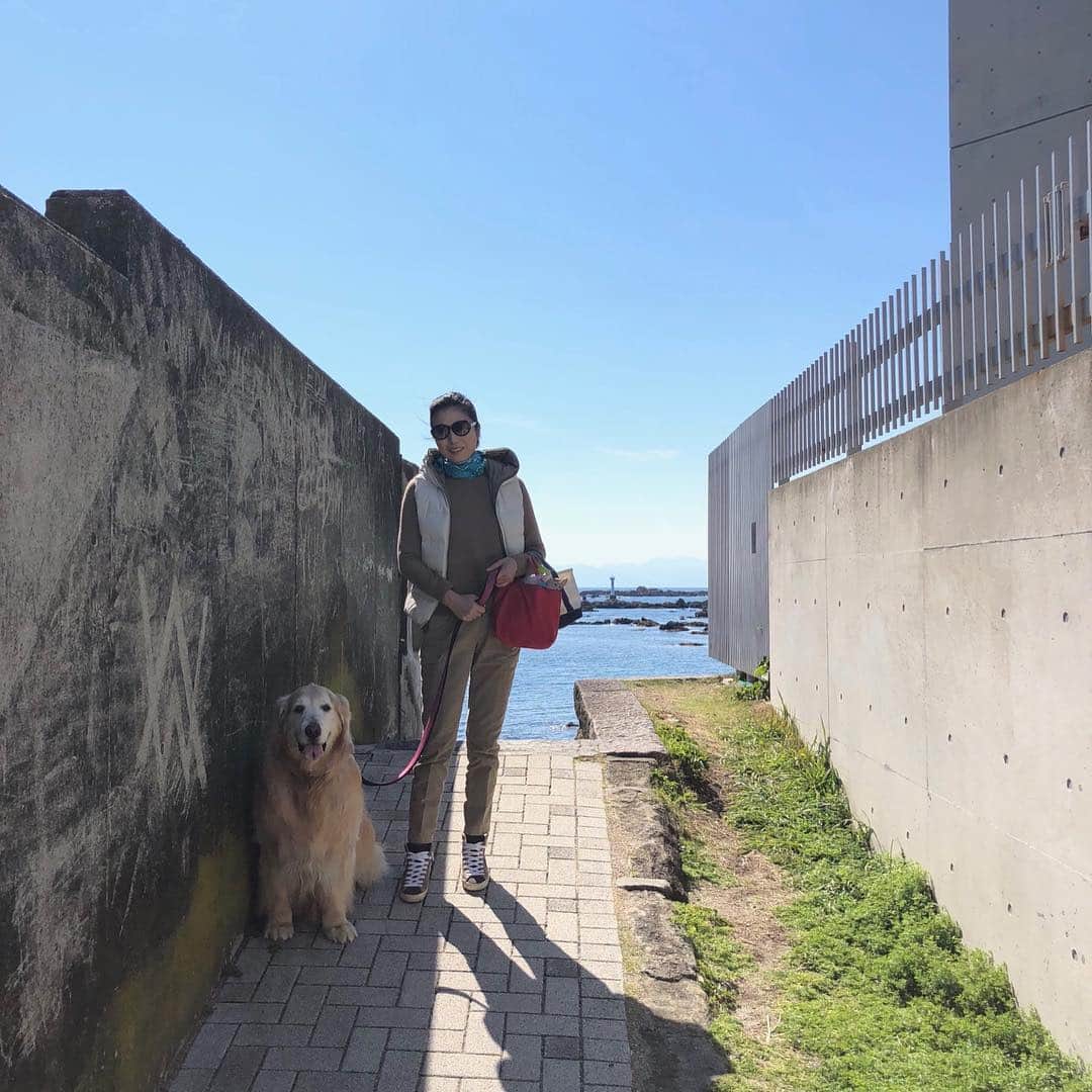 高橋ひとみさんのインスタグラム写真 - (高橋ひとみInstagram)「今日の東京は久しぶりに春らしいお天気だったので、海を見にみんなでドライブ🚗 #duvetica」4月13日 17時26分 - hitomi_momoe