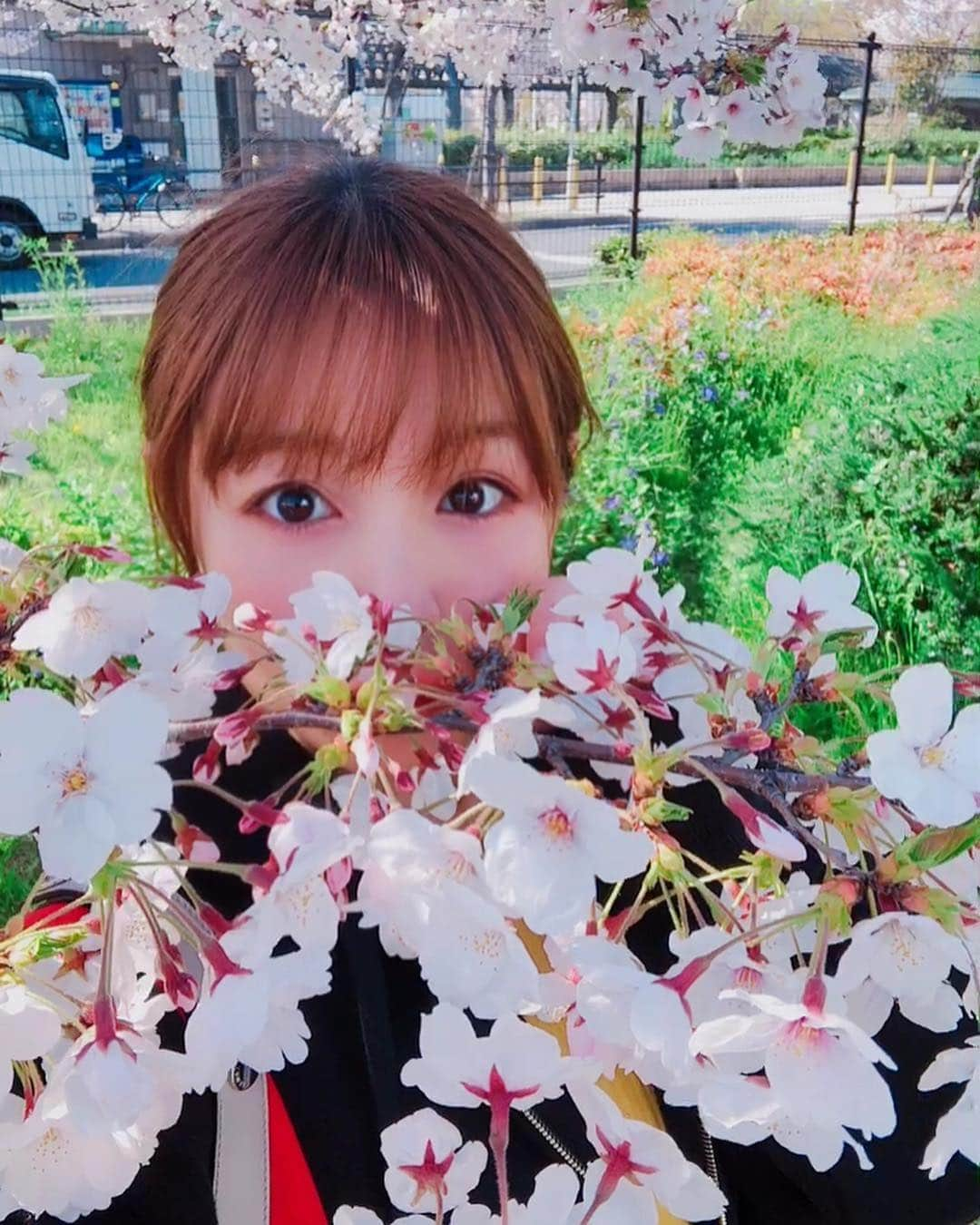 松中みなみさんのインスタグラム写真 - (松中みなみInstagram)「さくらー🌸🌸🌸✨ ・ ・  写真上手く撮れた✌️💖 ・ 2枚目はね 「鼻から花を出してるセルフィ」 って友達に説明したら ガキ。って言われました👶 ・ …… 以上ですっ🙋‍♀️✨✨✨ ・ ・ ・ #春 #桜 #思わぬ所で #大満喫 🌸 #大阪 #ちょっと前  #cherryblossom #🌸 #osaka」4月13日 17時30分 - minami_matsunaka