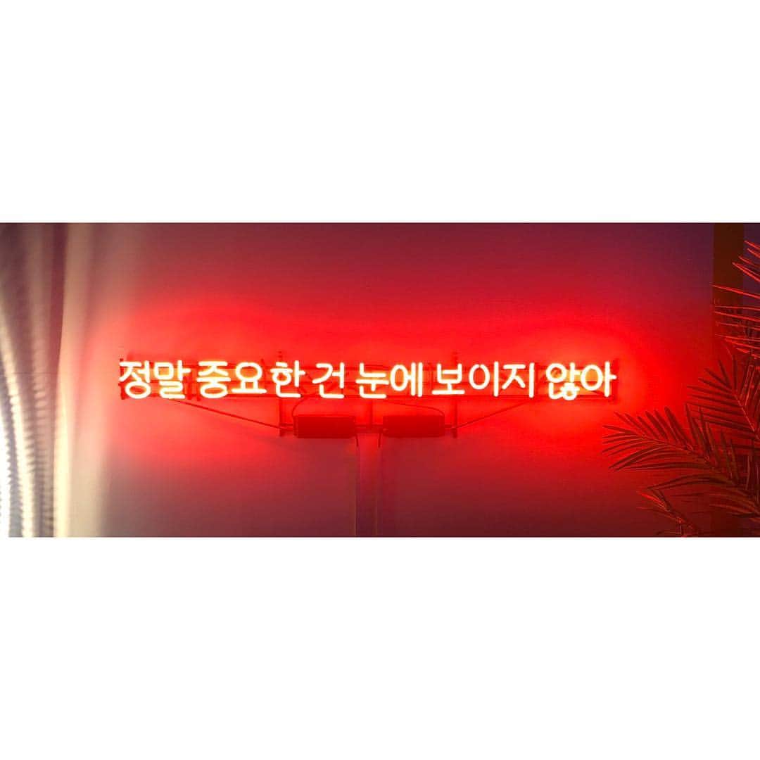 トリイクニコさんのインスタグラム写真 - (トリイクニコInstagram)「🤔🤔🤔 カフェを出るのでWi-Fi低速になります…😑 👋🏻👋🏻👋🏻 . 本当に重要なことは目に見えない . 訳あってますかね？🤔 #韓国旅行 #seoul #kunikorea  #🇰🇷」4月13日 17時32分 - toriicamera