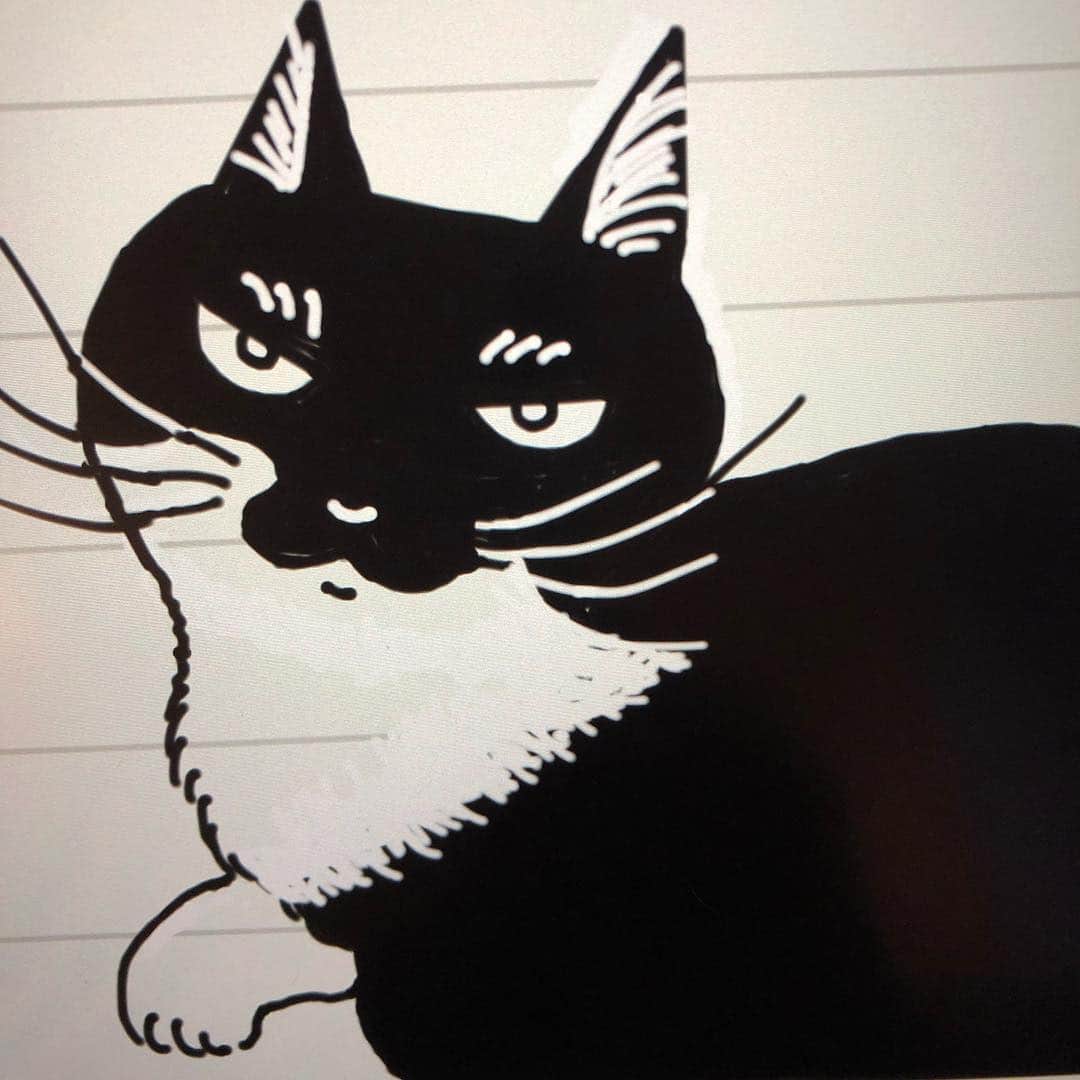 佐伯紅緒さんのインスタグラム写真 - (佐伯紅緒Instagram)「昨日、漫画家さんの取材で火がつきお絵かきソフトデビューしました。処女作はうちの猫です。  #cat #lapar#ラパーマ #猫 #ねこ #ネコ #ねこすたぐらむ  #株式会社ファイブキャッツ #猫好きさんと繋がりたい #イラスト #お絵かきソフト #靴下猫部」4月13日 17時44分 - beniosaeki