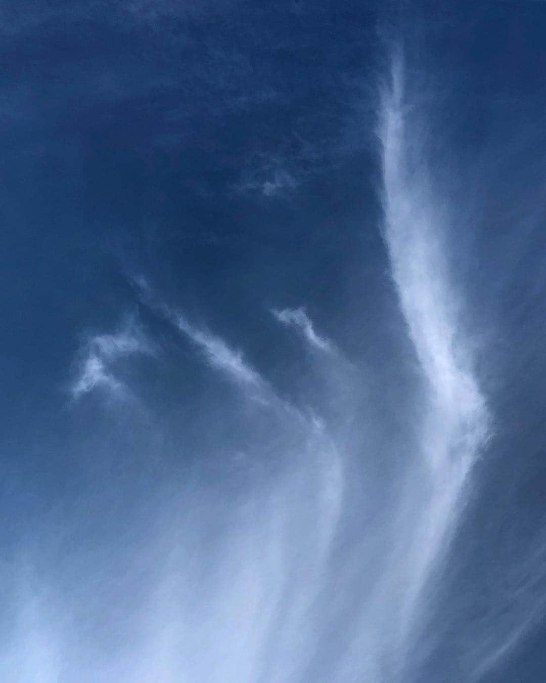 宍戸開さんのインスタグラム写真 - (宍戸開Instagram)「空と雲🌞」4月13日 17時53分 - kaishishido