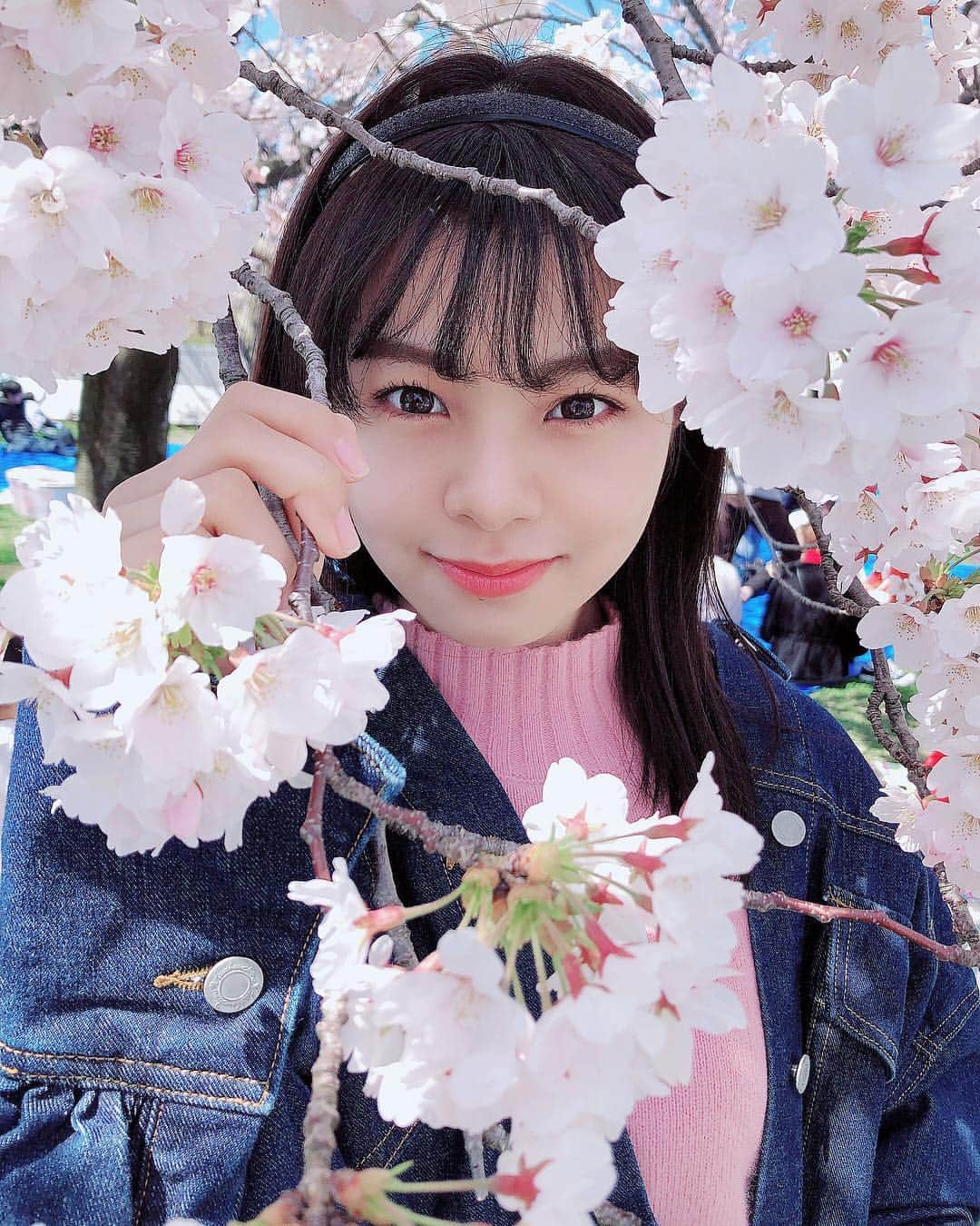 のインスタグラム：「新潟咲きました🌸」