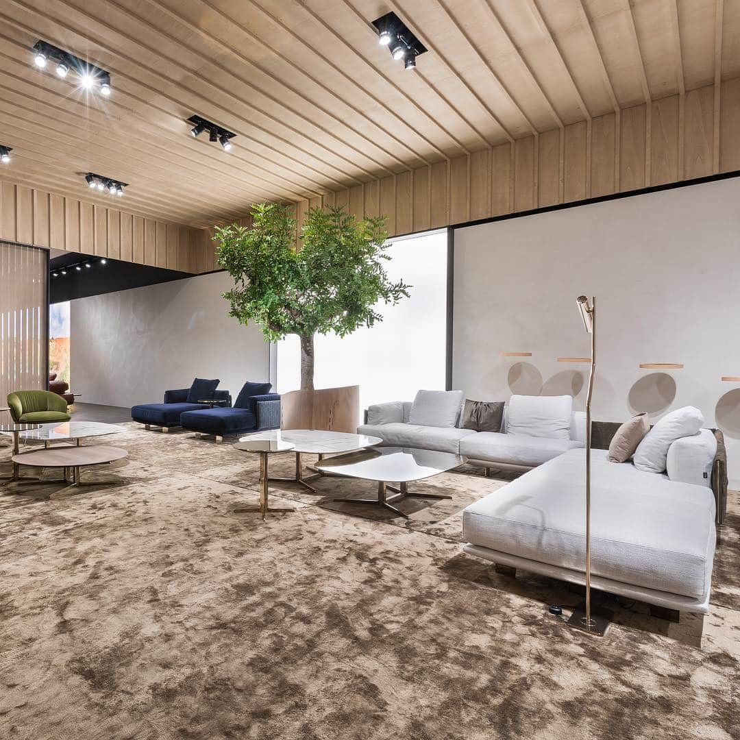 Natuzzi Officialさんのインスタグラム写真 - (Natuzzi OfficialInstagram)「With a measured and sophisticated design, Campus by Mauro Lipparini matches versatility with elegance in a timeless model. Explore the whole set at our stand. #SaloneDelMobile2019 #MDW #mdw19 #NatuzziMadreTerra #Natuzzi60 #sustainabledesign #Natuzzi #NatuzziItalia #comfort #elegance #design #lifestyle #style #furniture #homefurniture #madeinitaly #living #interiordesign #decor #furnituredesign #homedesign #inspiration #interior #instadesign #designlovers #italianstyle #homedecor #lovedesign #designers #designer」4月13日 18時16分 - natuzzi