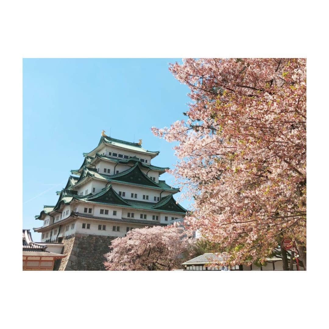 小河結香さんのインスタグラム写真 - (小河結香Instagram)「名古屋城🏯🌸✨ #nagoyacastle #cherryblossom」4月13日 18時30分 - yun2world