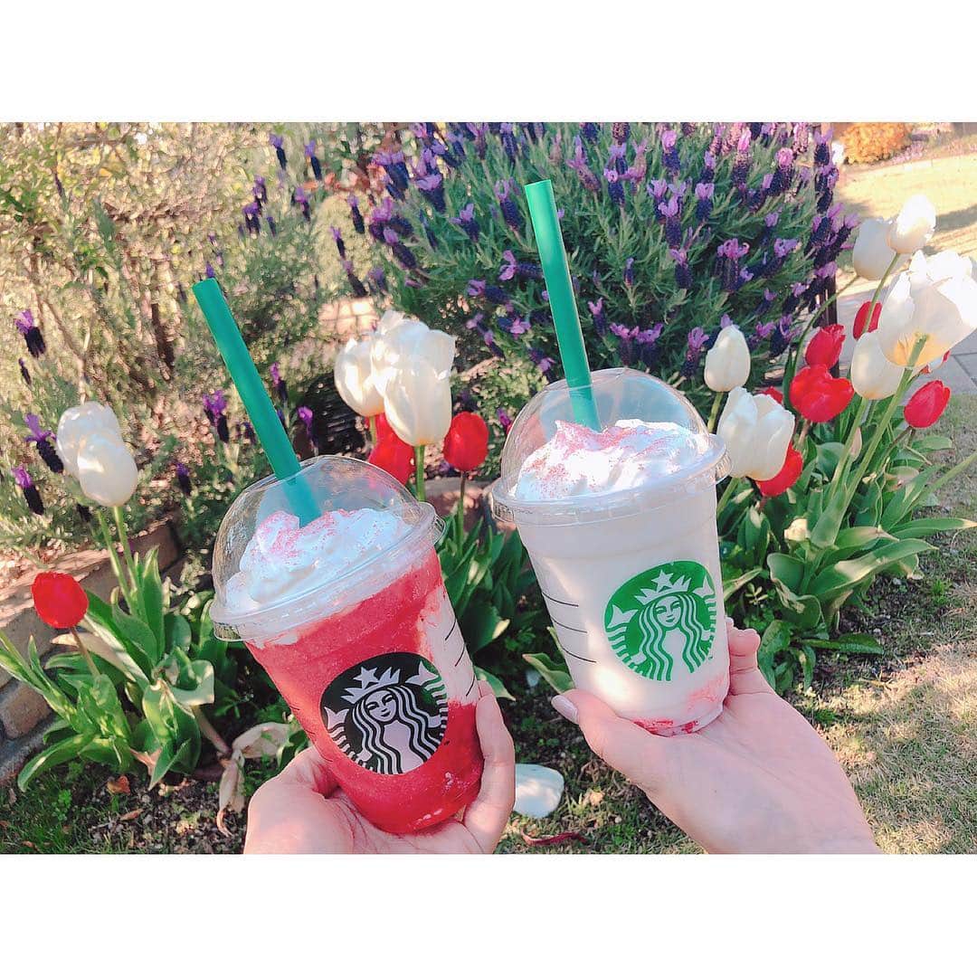 浜田翔子さんのインスタグラム写真 - (浜田翔子Instagram)「🌷🍓❤️#strawberryverymuchfrappuccino」4月13日 18時43分 - shoko_hamada