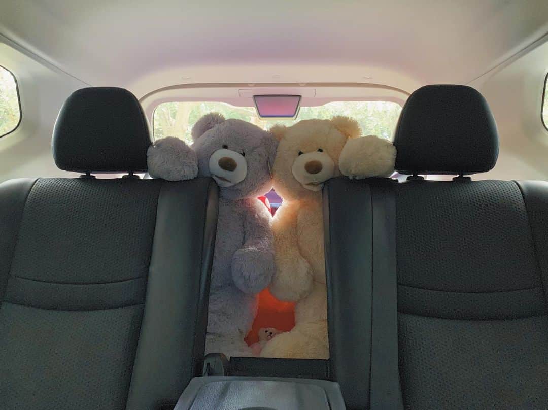泉見祐希のインスタグラム：「. 安全運転で頼むよ！ #🧸 #母が朝から可愛いことした」