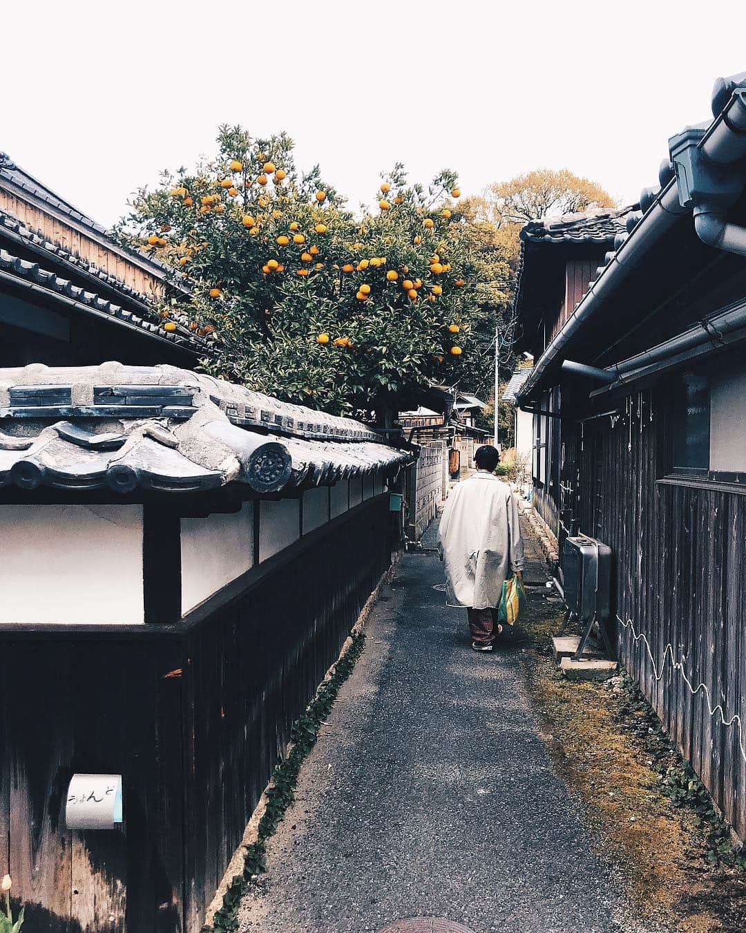 小塚源太のインスタグラム：「🇯🇵 はじめて訪れた直島。 爽やかで厳かでなんかいいな。 #kagawa #naoshima #Japan」