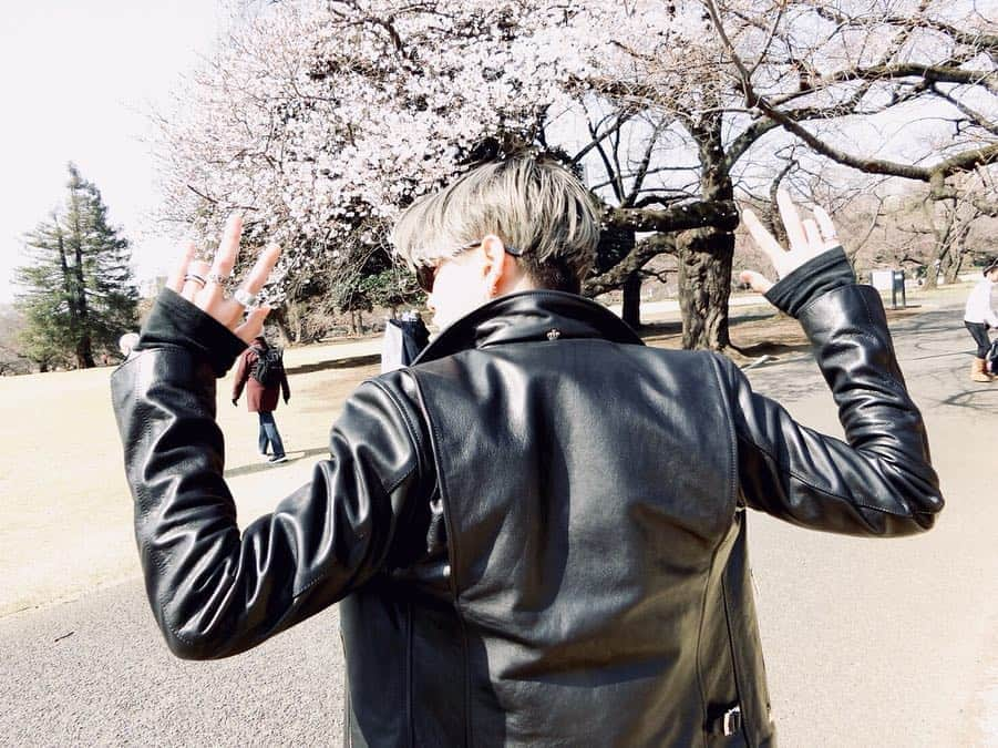 バトシンさんのインスタグラム写真 - (バトシンInstagram)「今年も桜は綺麗でした。」4月13日 19時03分 - takatimun