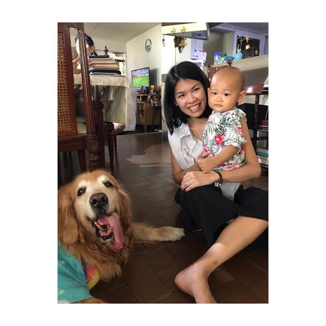 Hoykong&Plamuekさんのインスタグラム写真 - (Hoykong&PlamuekInstagram)「Meeting first time with my mom’s nephew 😊❤️ #hkpm #dogswithbaby」4月13日 19時03分 - hoykongplamuek