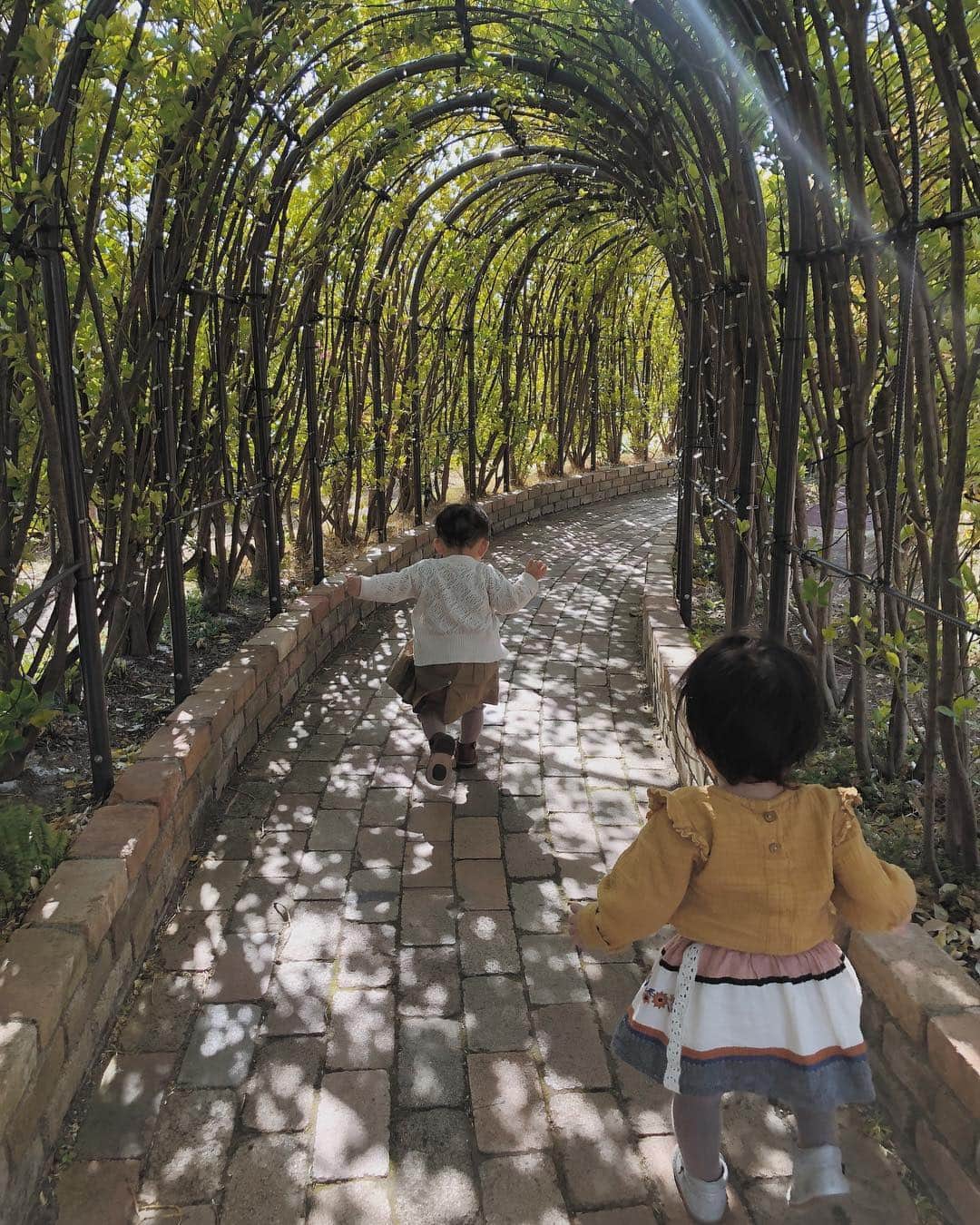 目見田早弥子のインスタグラム：「| baby girls 先日AMOちゃん、梨沙子ちゃん、 娘たちと遊んだ時の🧡 風が強かったけど楽しそうに走り回ってた🌿」