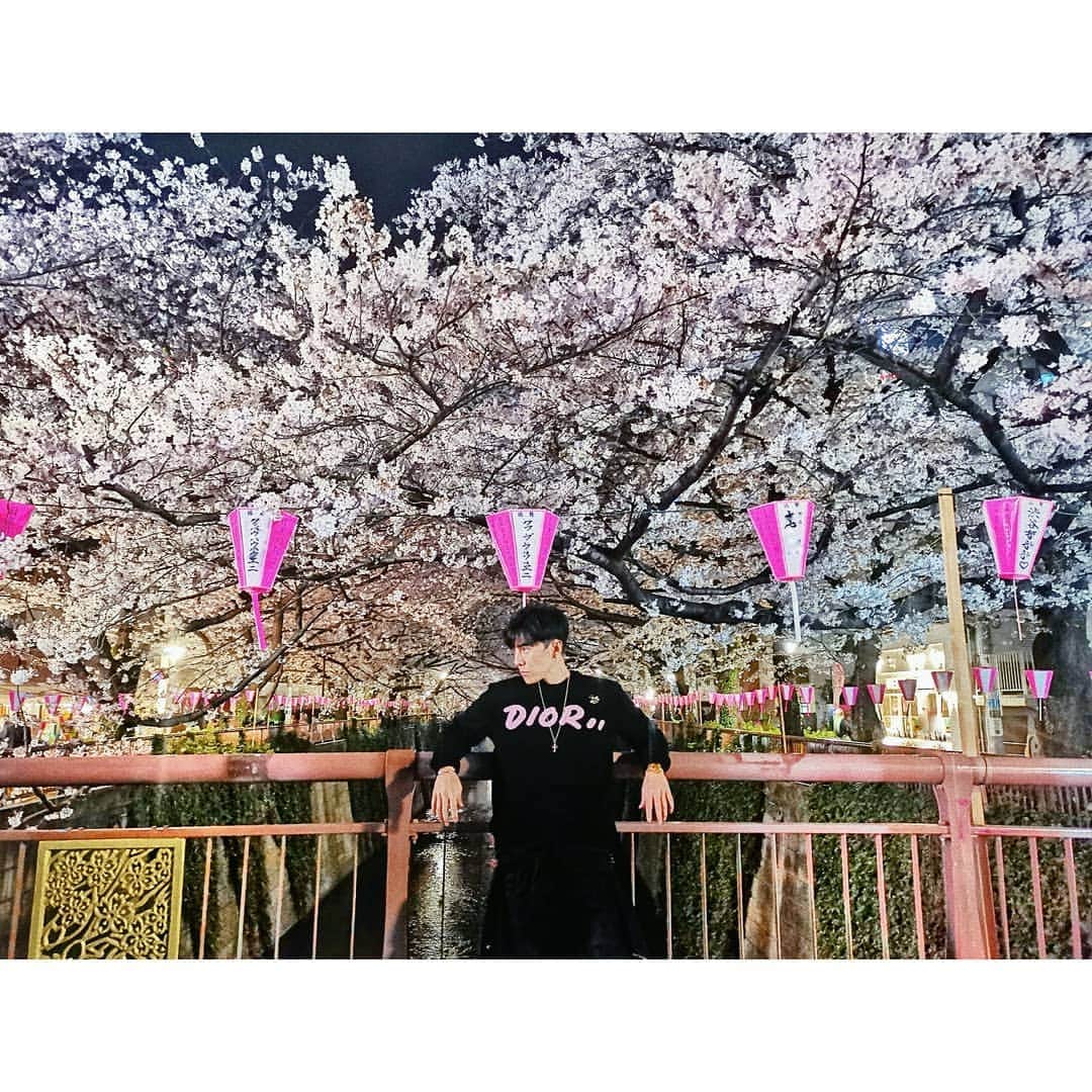 ダンソン・タンのインスタグラム：「🚶🏙🌸📸🥂 #唐禹哲 #TOKYO #DT視角 #DT #HOTHEART #SEVENDAYS  #cherryblossom #櫻花 #東京」
