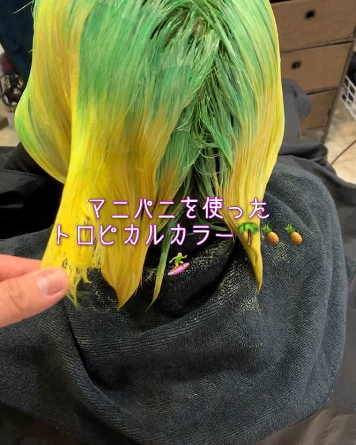 HairStyle_by.PuraVida長澤圭佑のインスタグラム：「マニパニを使ったトロピカルカラー🌴🍍🍍🌴🏄‍♀️🏄‍♀️ ・ ・ 2度見どころか3度見くらいされるよね笑 ・ ・  派手髪はおまかせを♫ ・ ・ ・ ・  #マニパニ #マニックパニック #manicpanic #派手髪 #ヤバカラ #ヤバカラー #ヤバいカラー屋さん」
