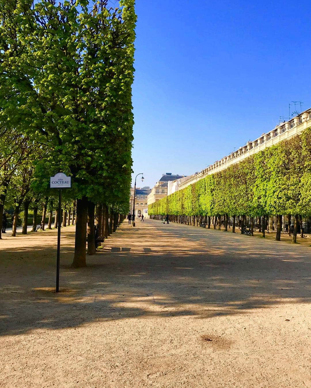 ミッシェルクランさんのインスタグラム写真 - (ミッシェルクランInstagram)「Paris, Saturday April 13th Glorious sunshine over the Palais Royal gardens #palaisroyal #paris #sunnyday allée Jean Cocteau #jeancocteau #homesweethome」4月13日 20時01分 - mimi_liberte_michel_klein