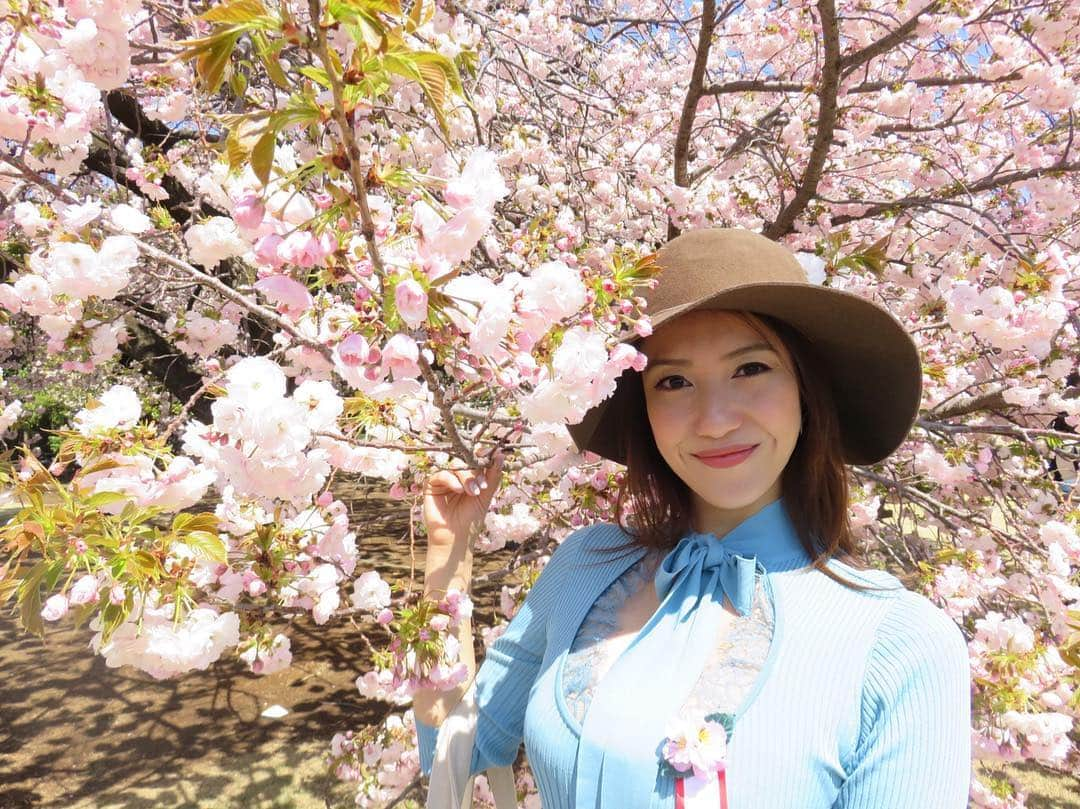 一木エリカのインスタグラム：「桜を見る会🌸 2019 April 13th  #安倍総理 #桜を見る会 #abeprimeminister #japan #tokyo #shinjukugyoen #新宿御苑 #桜 #満開 #sakura #sakurawomirukai」