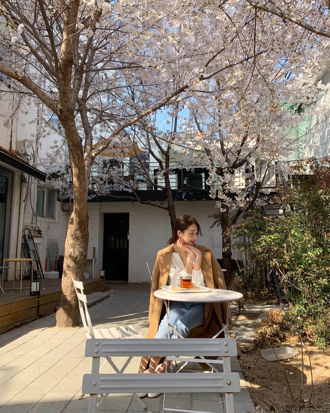 ミナ さんのインスタグラム写真 - (ミナ Instagram)「올해 벚꽃은 정말 길었네🌸」4月13日 20時06分 - blossomh_