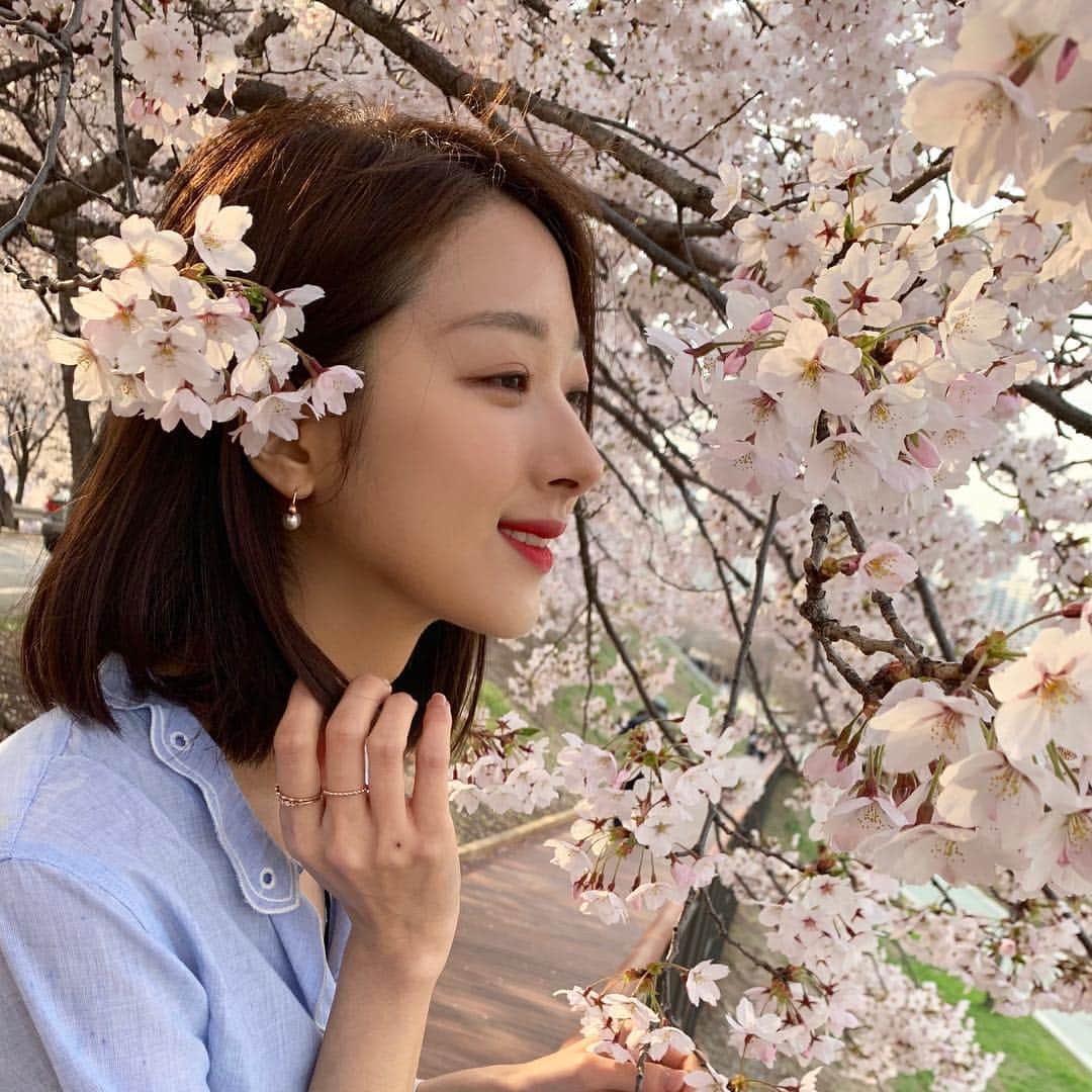 ミナ さんのインスタグラム写真 - (ミナ Instagram)「올해 벚꽃은 정말 길었네🌸」4月13日 20時06分 - blossomh_