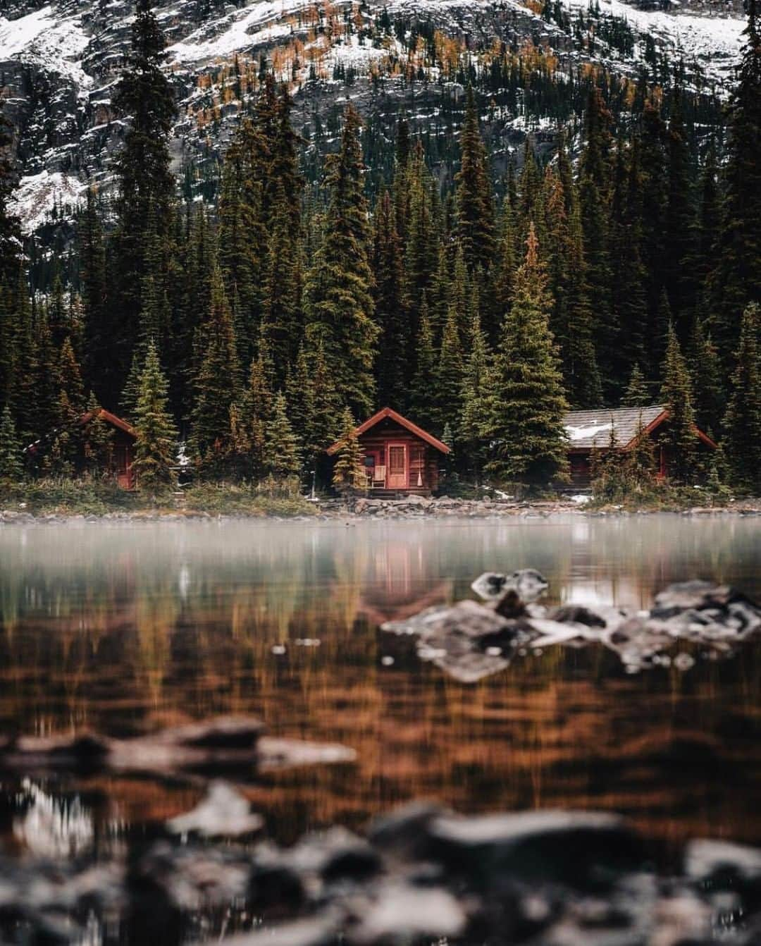 Discoveryさんのインスタグラム写真 - (DiscoveryInstagram)「“Went to find the changing colors of the Rockies last September. Can you spot the larches up high?” 📸 + caption by Stevin Tuchiwsky (@stevint) . . . . #LakeOHara #wow #travel #explore #nature #photography #potd #photooftheday #adventure #travel #roadtrip #outdoors #forest」4月13日 20時07分 - discovery