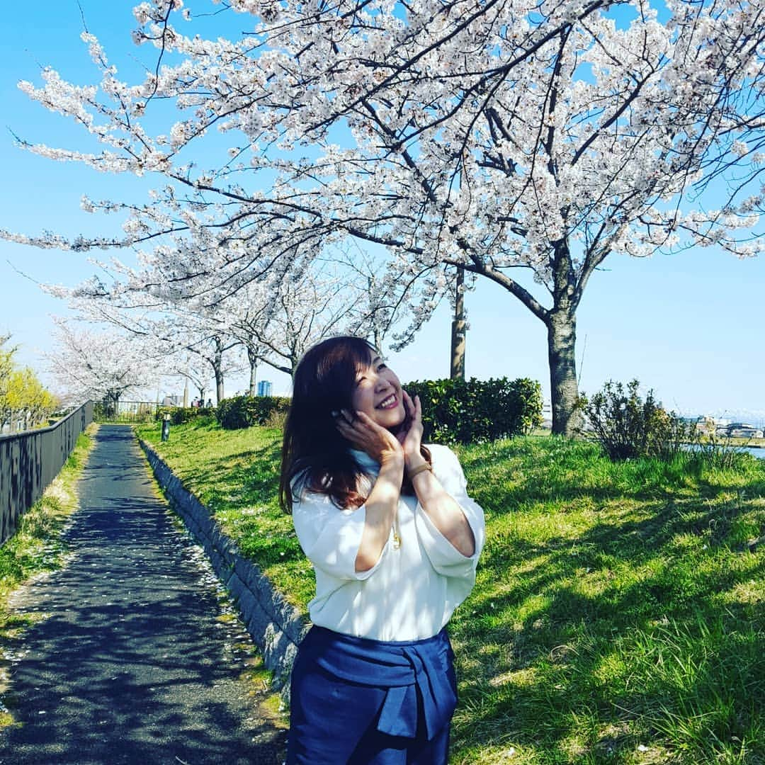 石塚かおりさんのインスタグラム写真 - (石塚かおりInstagram)「#新潟市#やすらぎ堤#桜#満開  最高に素敵な一日でした🌸  #なじラテ の#中澤卓也 さんと、麦ちゃんの中継を観ていたら、思わず(笑)  やすらぎ堤に。  今日は リスナーの皆さん、番組の仲間たち、友人たち、そして家族に、あらためて感謝の日でした。  ちなみに…  ゆうわく伝説は、こんなかわいい女子たちに支えられています。 （お写真4枚目）  いつも、いろんなサプライズをしかけてくれるけど、たいてい、バレちゃうところが微笑ましすぎ。  でも、今日は、完全にやられました。 ↓  今日の、ゆうわく飯…💕 ゆうわく伝説のInstagramで。 ID kaori_yuwaku  #お花見#信濃川#いつもあなたと#BSN#ラジオ#ゆうわく伝説 は、いつも#女子会#ゆうわく飯#お寿司#佐渡#貝#海老#大好き#サプライズ お寿司やさんの？#スイーツ#チョコ#ケーキ#アナウンサー#石塚かおり」4月13日 20時21分 - kaori_ishizuka413