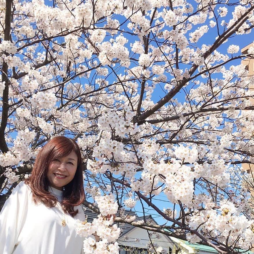 石塚かおりさんのインスタグラム写真 - (石塚かおりInstagram)「#新潟市#やすらぎ堤#桜#満開  最高に素敵な一日でした🌸  #なじラテ の#中澤卓也 さんと、麦ちゃんの中継を観ていたら、思わず(笑)  やすらぎ堤に。  今日は リスナーの皆さん、番組の仲間たち、友人たち、そして家族に、あらためて感謝の日でした。  ちなみに…  ゆうわく伝説は、こんなかわいい女子たちに支えられています。 （お写真4枚目）  いつも、いろんなサプライズをしかけてくれるけど、たいてい、バレちゃうところが微笑ましすぎ。  でも、今日は、完全にやられました。 ↓  今日の、ゆうわく飯…💕 ゆうわく伝説のInstagramで。 ID kaori_yuwaku  #お花見#信濃川#いつもあなたと#BSN#ラジオ#ゆうわく伝説 は、いつも#女子会#ゆうわく飯#お寿司#佐渡#貝#海老#大好き#サプライズ お寿司やさんの？#スイーツ#チョコ#ケーキ#アナウンサー#石塚かおり」4月13日 20時21分 - kaori_ishizuka413