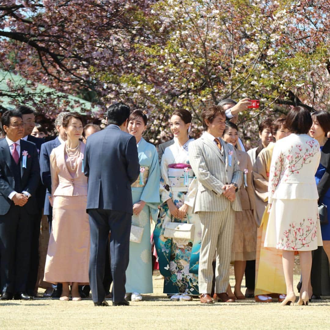 壱城あずささんのインスタグラム写真 - (壱城あずさInstagram)「.﻿ 安倍首相、昭恵夫人にしっかりご挨拶させていただきました。﻿ 首相から「とても艶やかなお着物姿で、美しく華を添えていただきありがとうございます」ともったいないお言葉をいただきました。 首相と昭恵夫人の温かい笑顔忘れません。﻿﻿ 紫吹淳さんのお隣だったのでたくさんお話させていただきました。 本当に幸せな1日✨ ﻿ #桜を見る会﻿ #新宿御苑﻿ #安倍晋三首相 #昭恵夫人 #紫吹淳 さん﻿ #初舞台の時の﻿ #トップスター さん﻿ #きものやまと #サンミュージック #壱城あずさ﻿ #しーらん」4月13日 20時17分 - shiiran1012