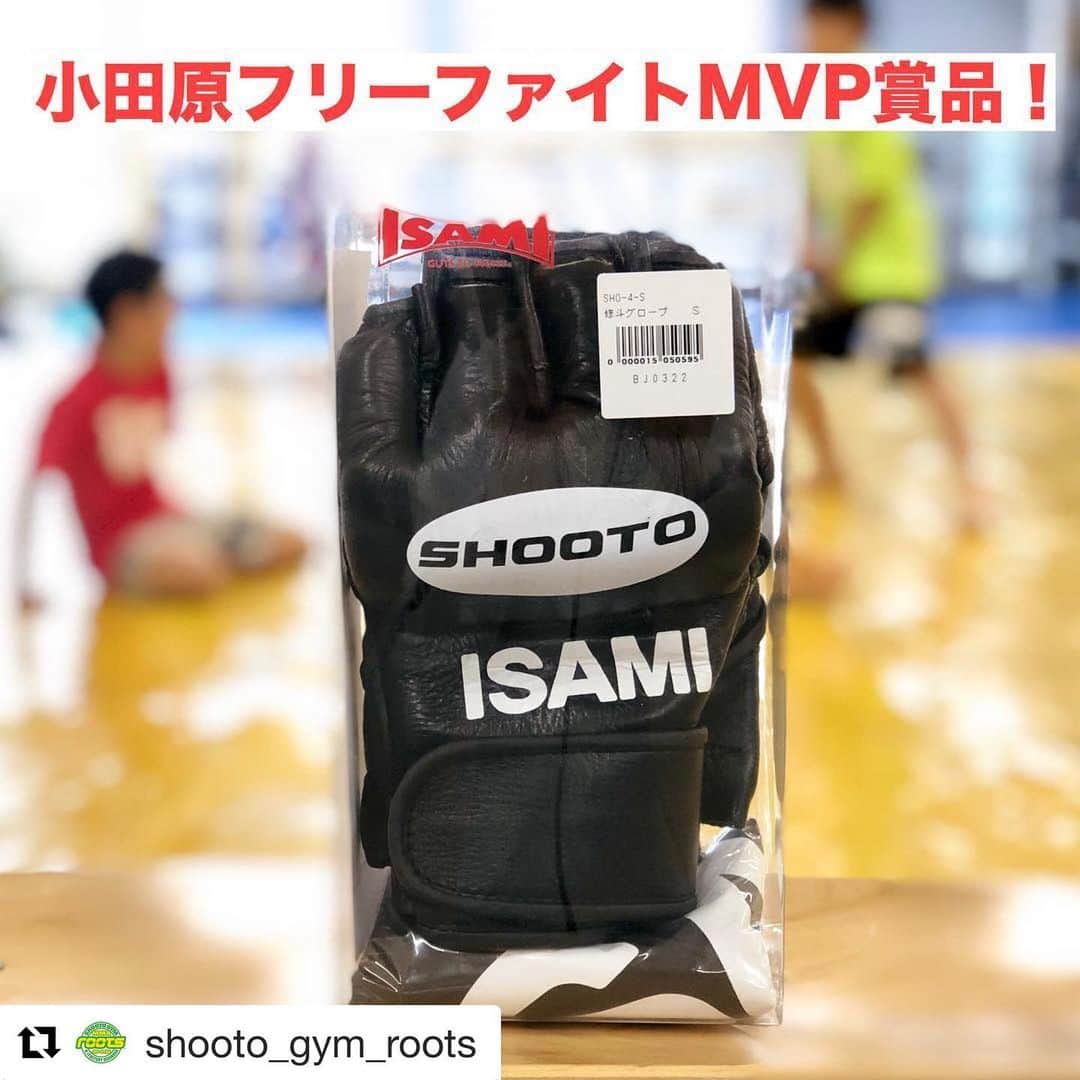 佐藤ルミナさんのインスタグラム写真 - (佐藤ルミナInstagram)「MVPはイサミ製修斗グローブ🥊 #Repost @shooto_gym_roots with @get_repost ・・・ 【小田原フリーファイト17MVP賞品】﻿﻿ ﻿﻿ 今大会のMVP受賞者に修斗グローブが贈呈されます！﻿！ 選手は獲得目指して頑張って下さい！！﻿ ﻿﻿ ◎協賛（順不同）グループホーム青い鳥・高木歯科・INSPIRIT・MOVE ACTION・しばた建板株式会社・MOBSTYLES・ハナマサ・JINDARI・湾岸画廊・RICH DOOR・OTTERBOX・MYPAKAGE・Lei's Hawaii Popcorn kitchen・CAP・國松工業・万葉の湯・フルッタフルッタ・ジミー﻿﻿ ﻿#shooto #amateurshooto #beginnershooto #amateurmma #mma #nogi #grappling #bjj #jiujitsu #小田原フリーファイト #アマ修 #アマチュア修斗 #ビギナー修斗 #グラップリング #柔術 #小田原  #supportedby #onechampionship」4月13日 20時22分 - ruminasato