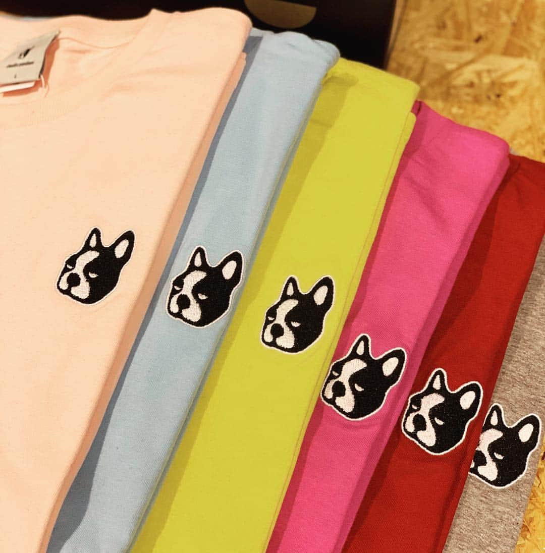 I_am_soccerjunkyさんのインスタグラム写真 - (I_am_soccerjunkyInstagram)「Color tee. #claudiopandiani #frenchbulldog #bostonterrier #buhi #dog #soccerjunky #soccernut」4月13日 20時27分 - soccerjunky_official